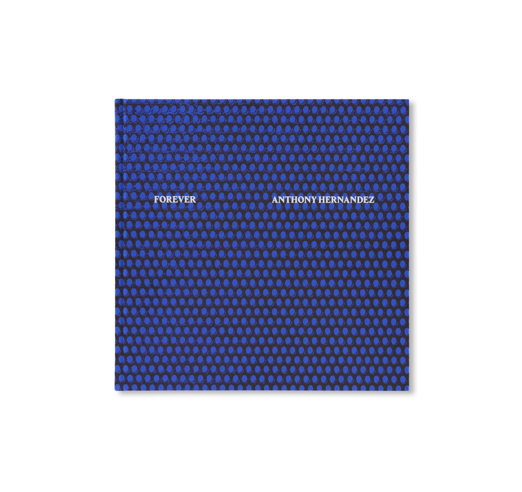 FOREVER by Anthony Hernandez