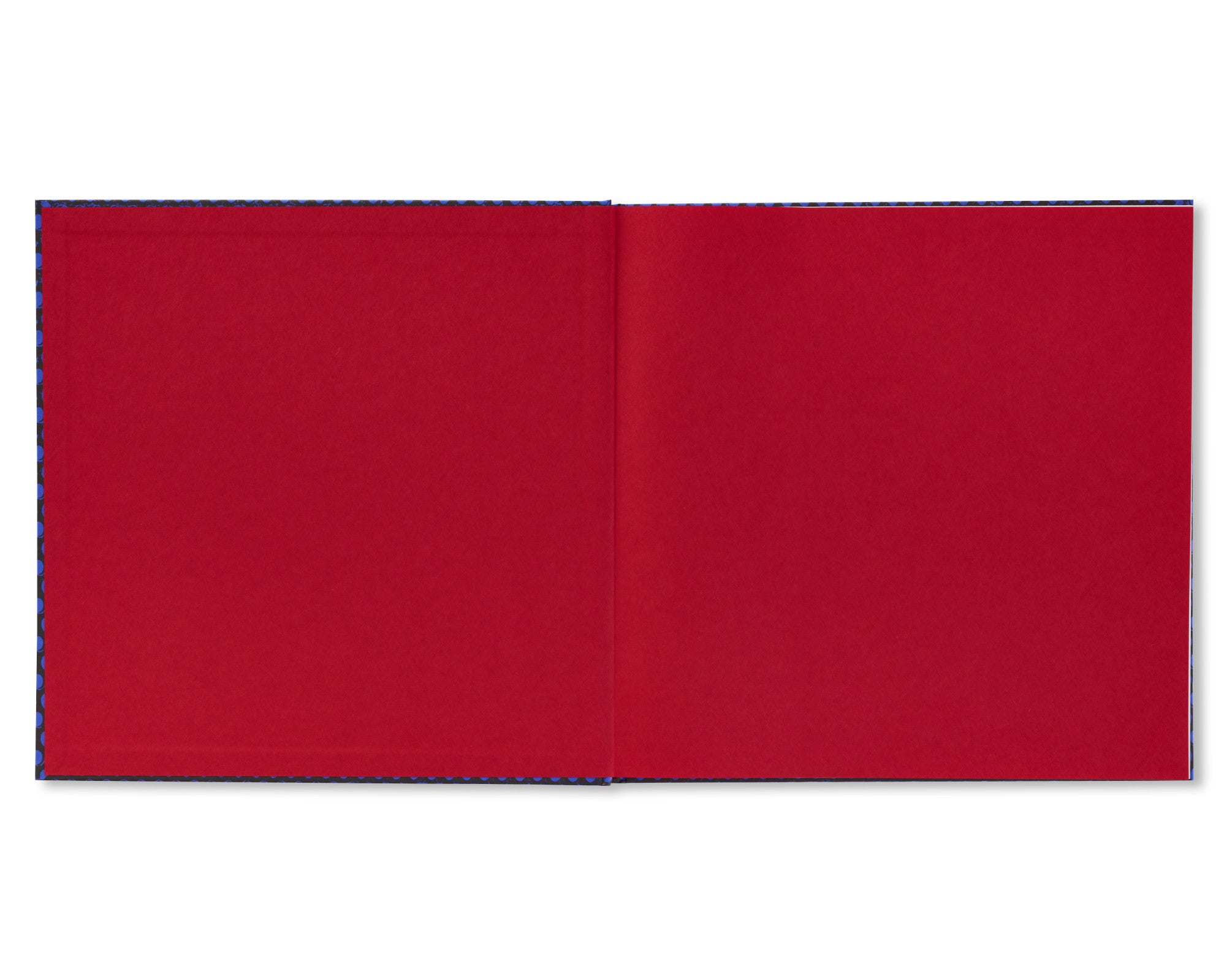 FOREVER by Anthony Hernandez