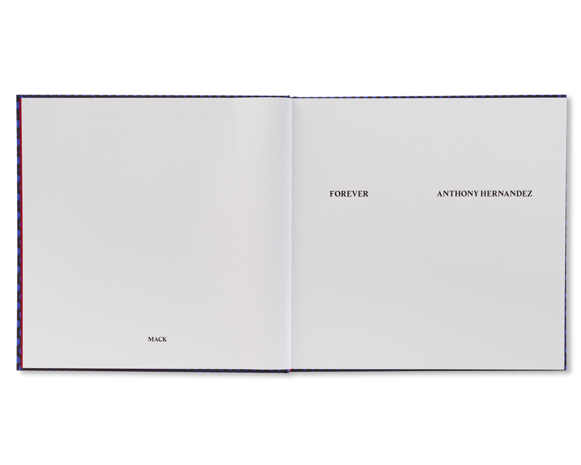 FOREVER by Anthony Hernandez