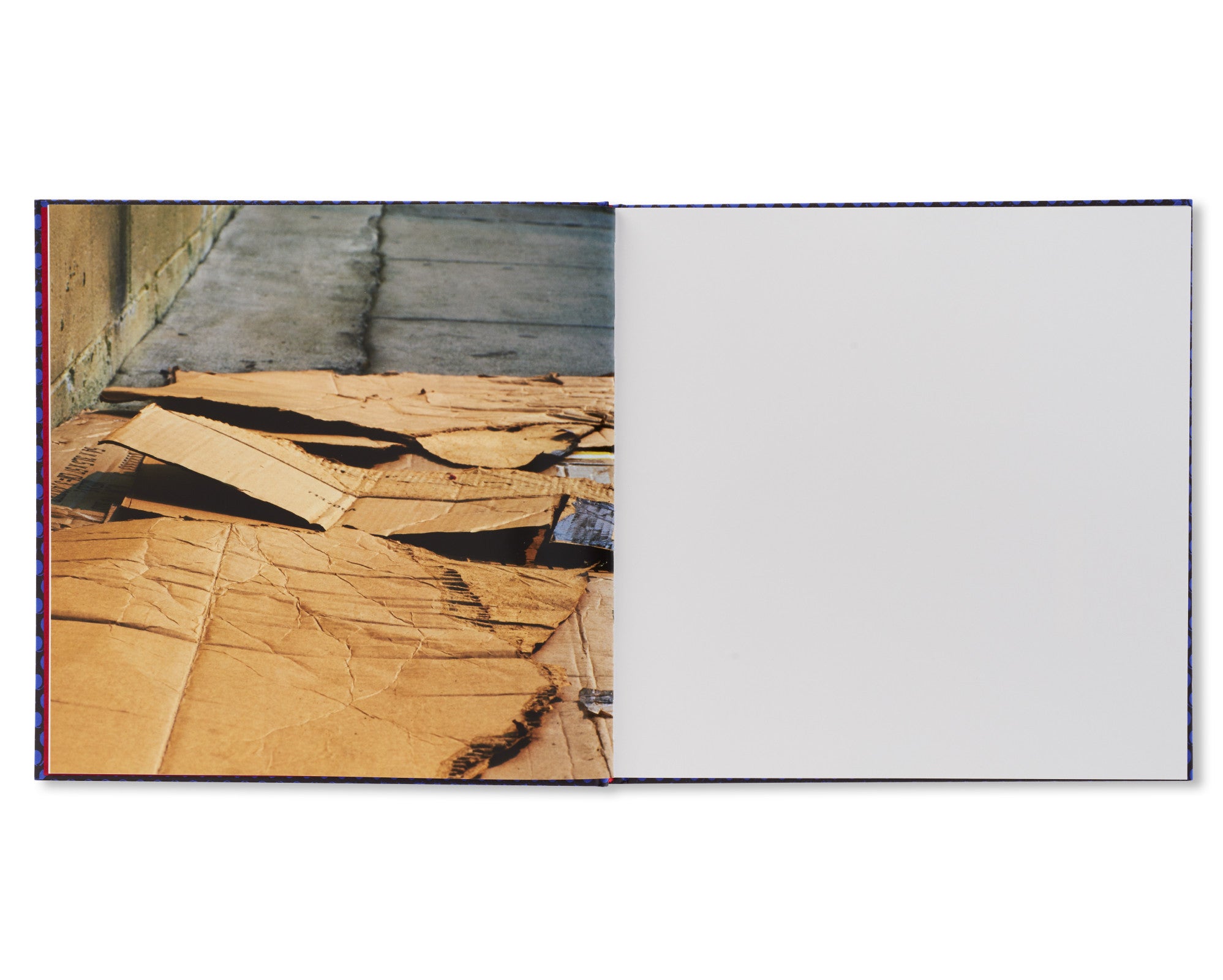 FOREVER by Anthony Hernandez