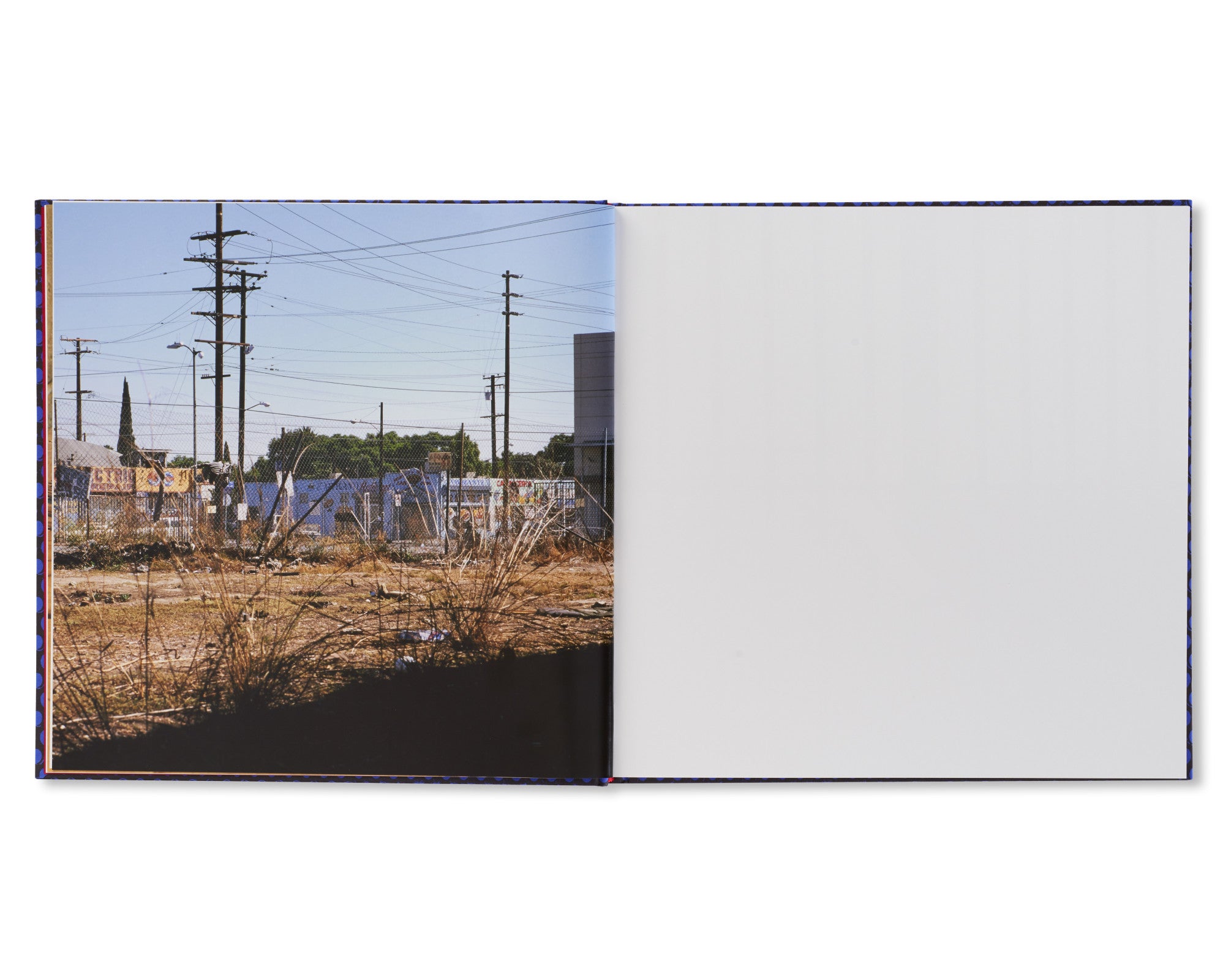 FOREVER by Anthony Hernandez