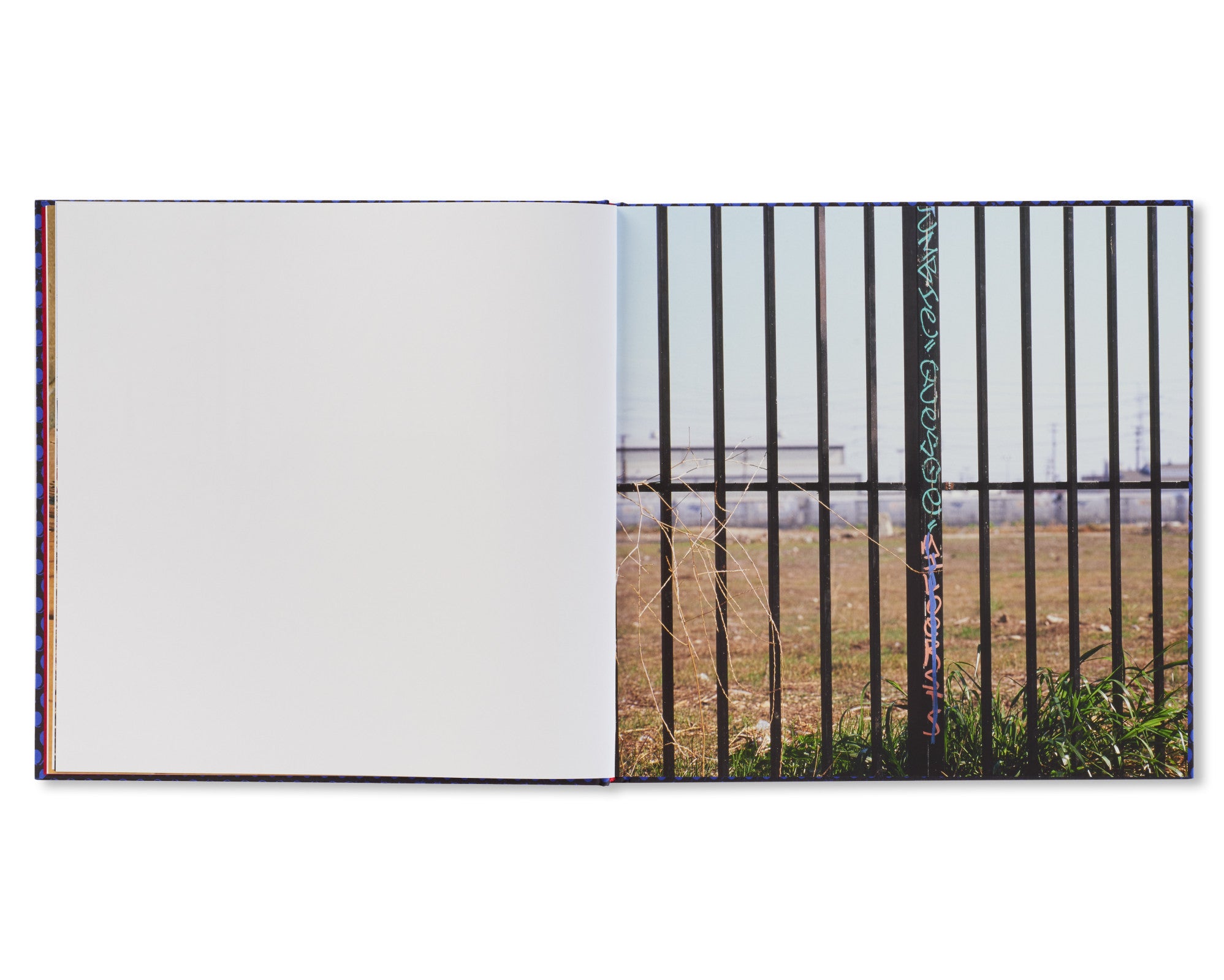 FOREVER by Anthony Hernandez