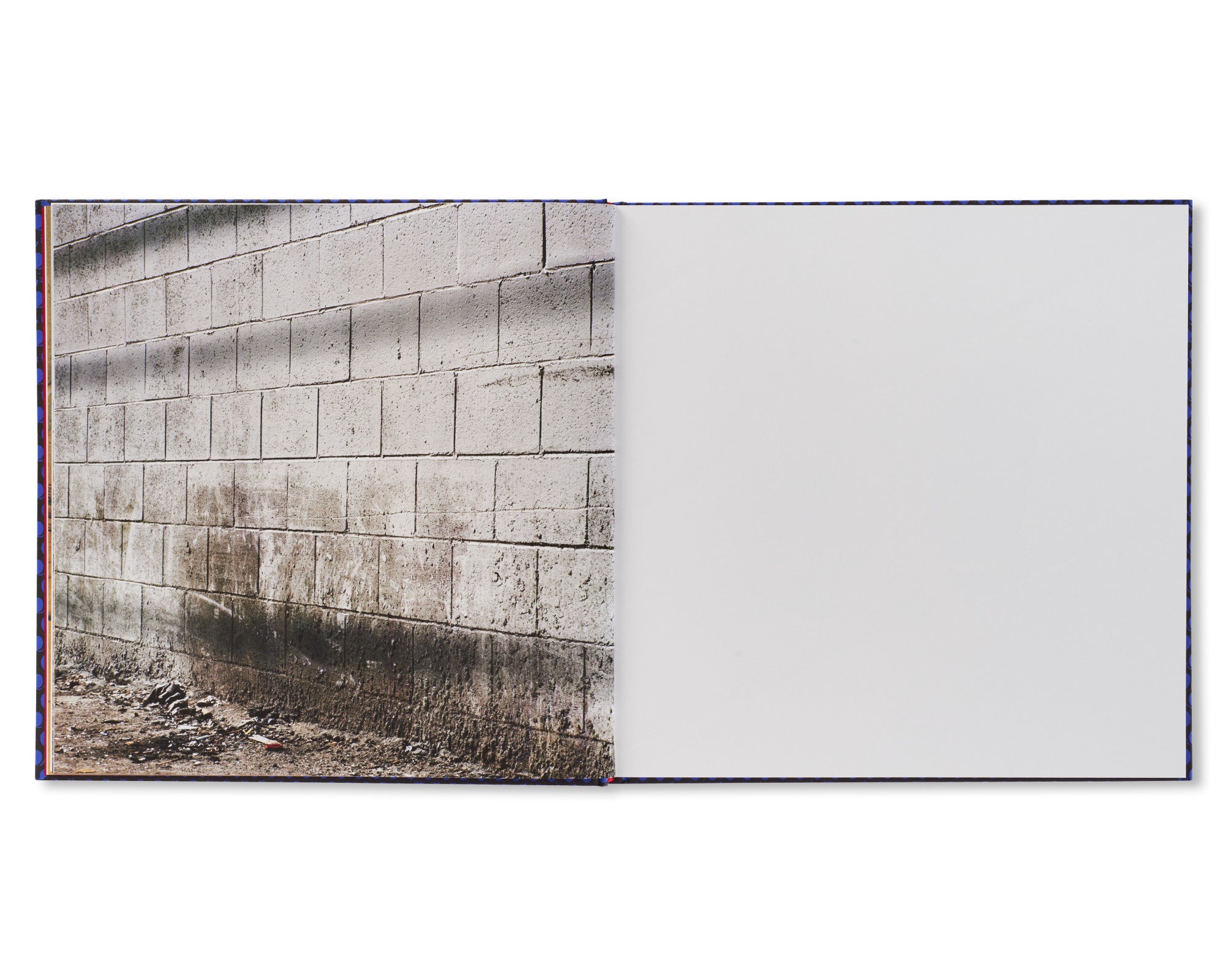 FOREVER by Anthony Hernandez