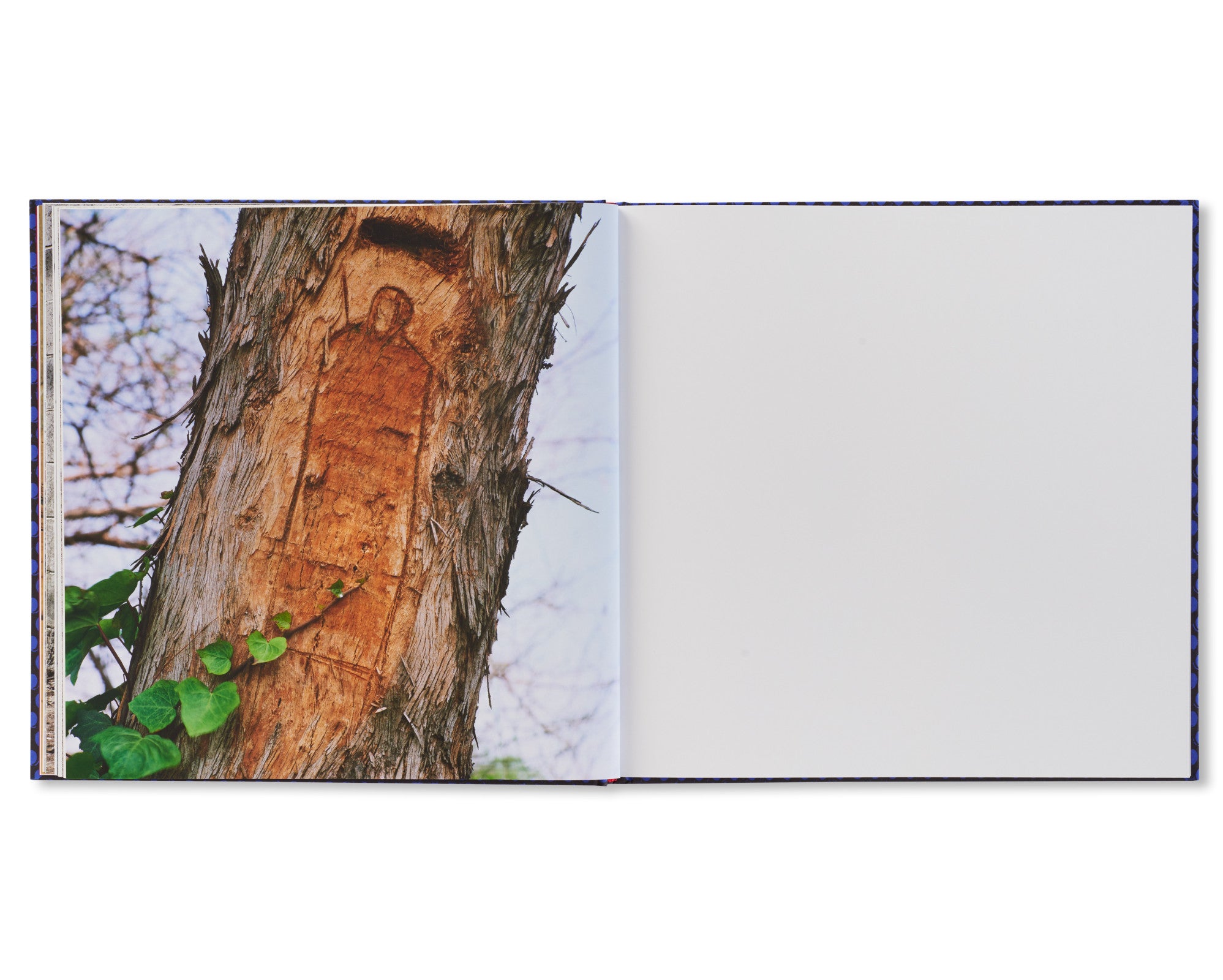 FOREVER by Anthony Hernandez