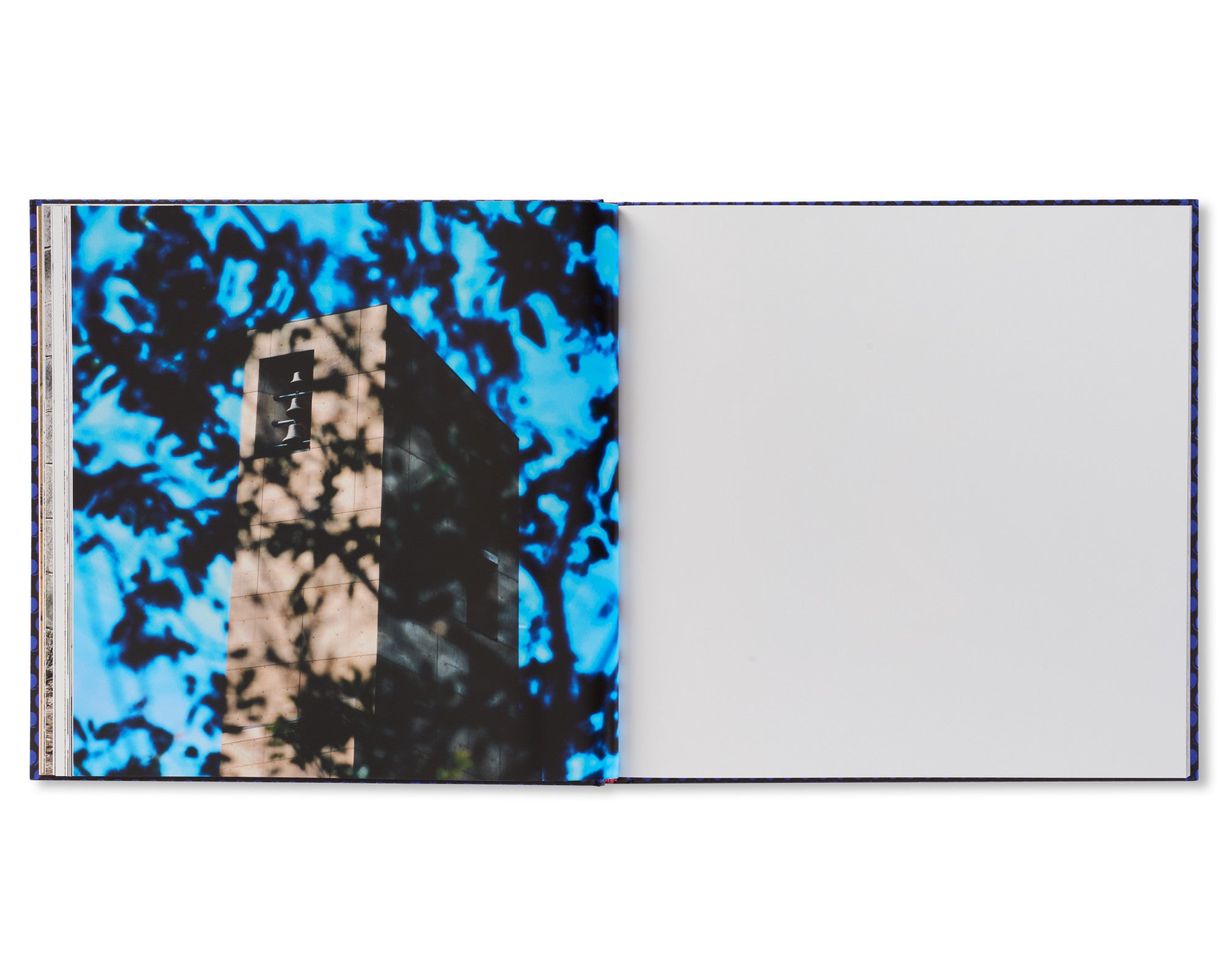 FOREVER by Anthony Hernandez