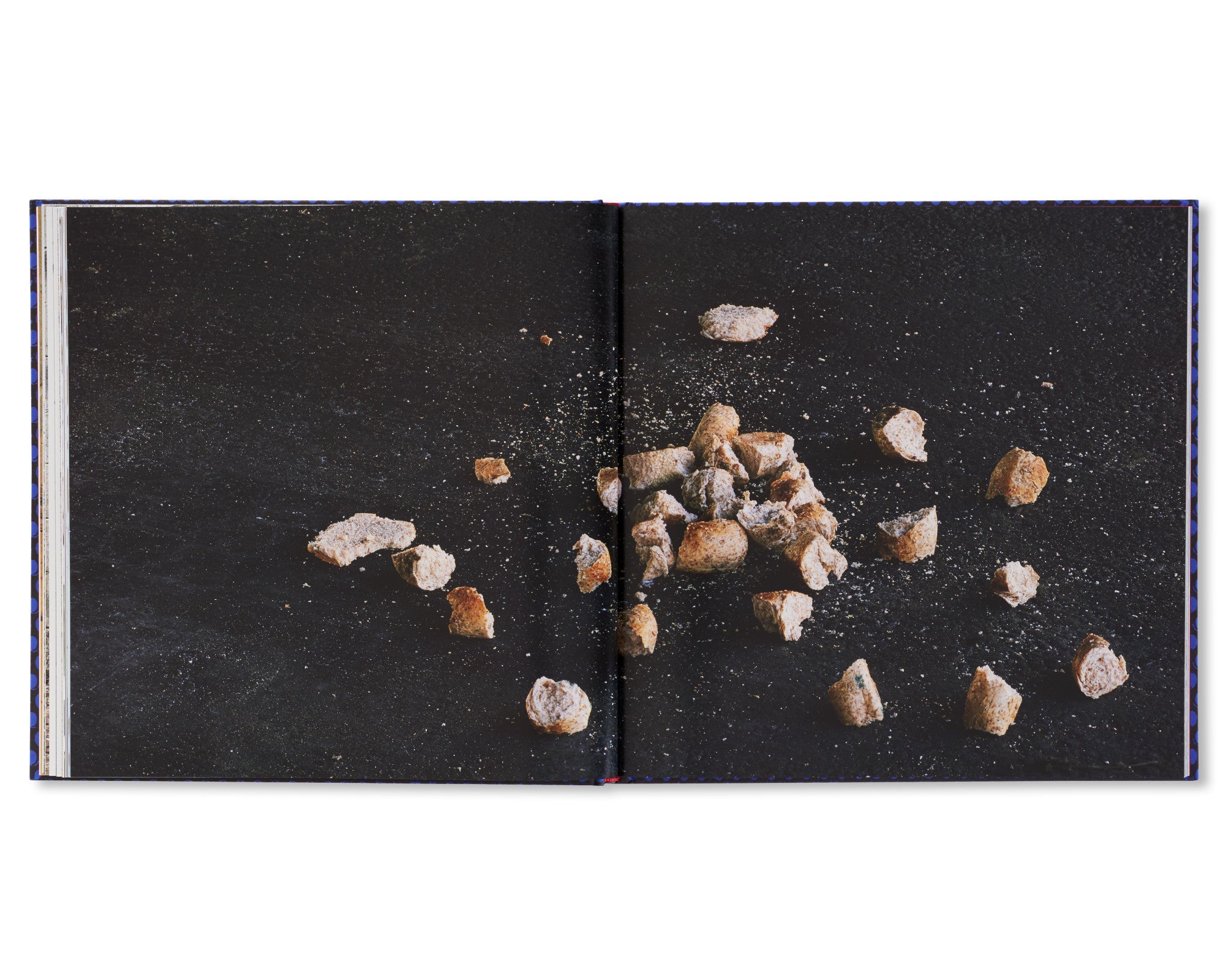 FOREVER by Anthony Hernandez