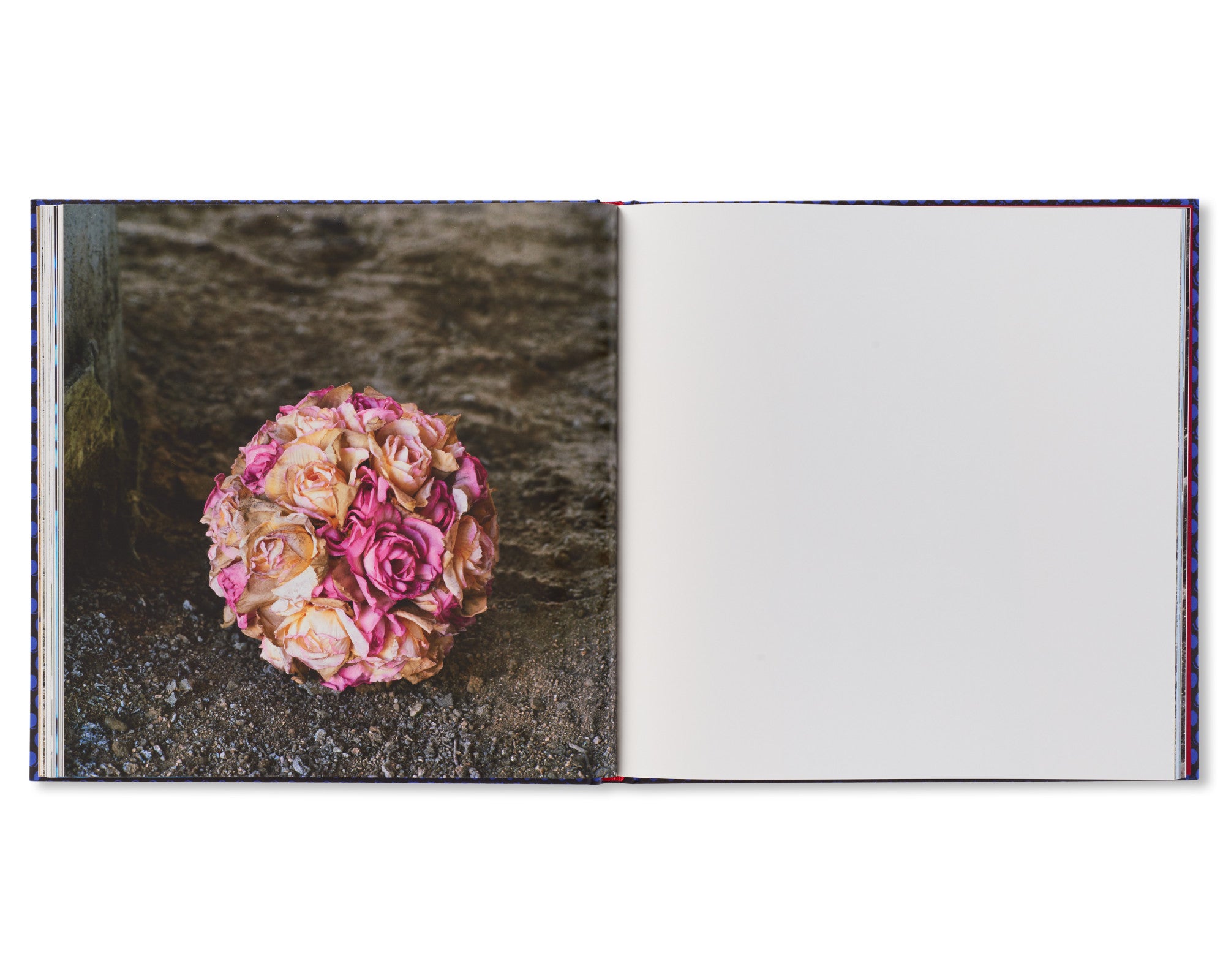 FOREVER by Anthony Hernandez