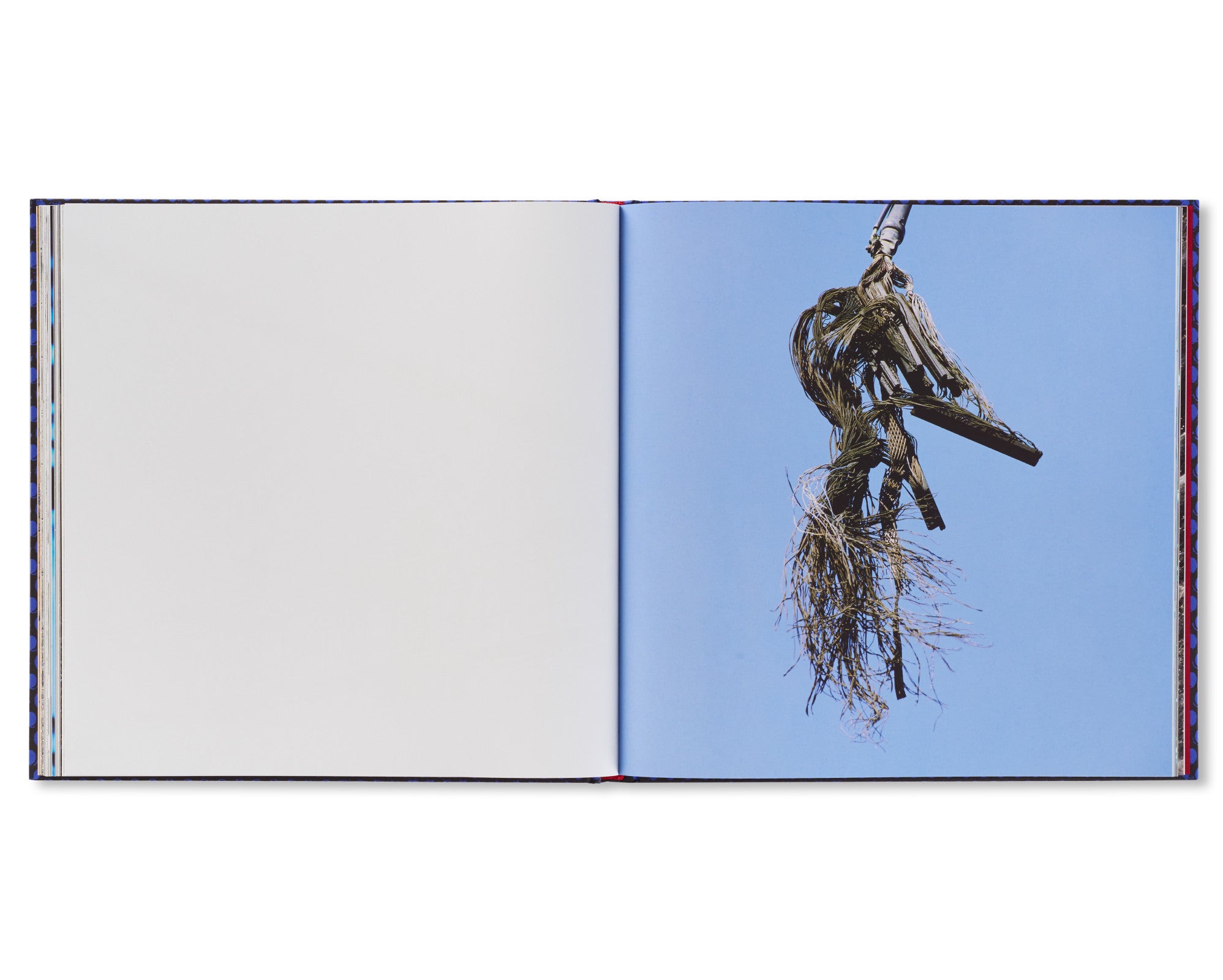 FOREVER by Anthony Hernandez