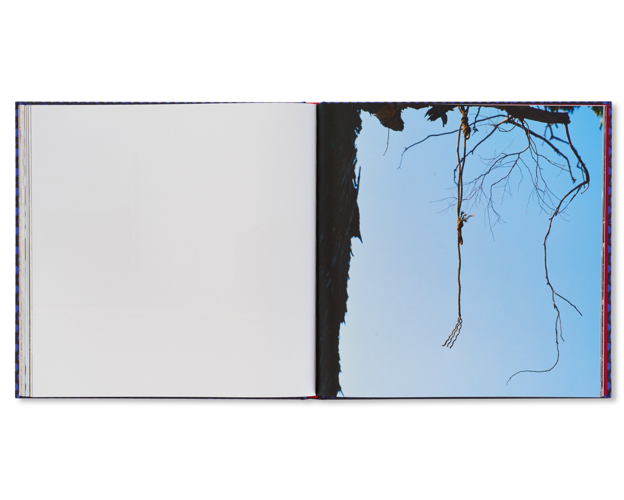 FOREVER by Anthony Hernandez