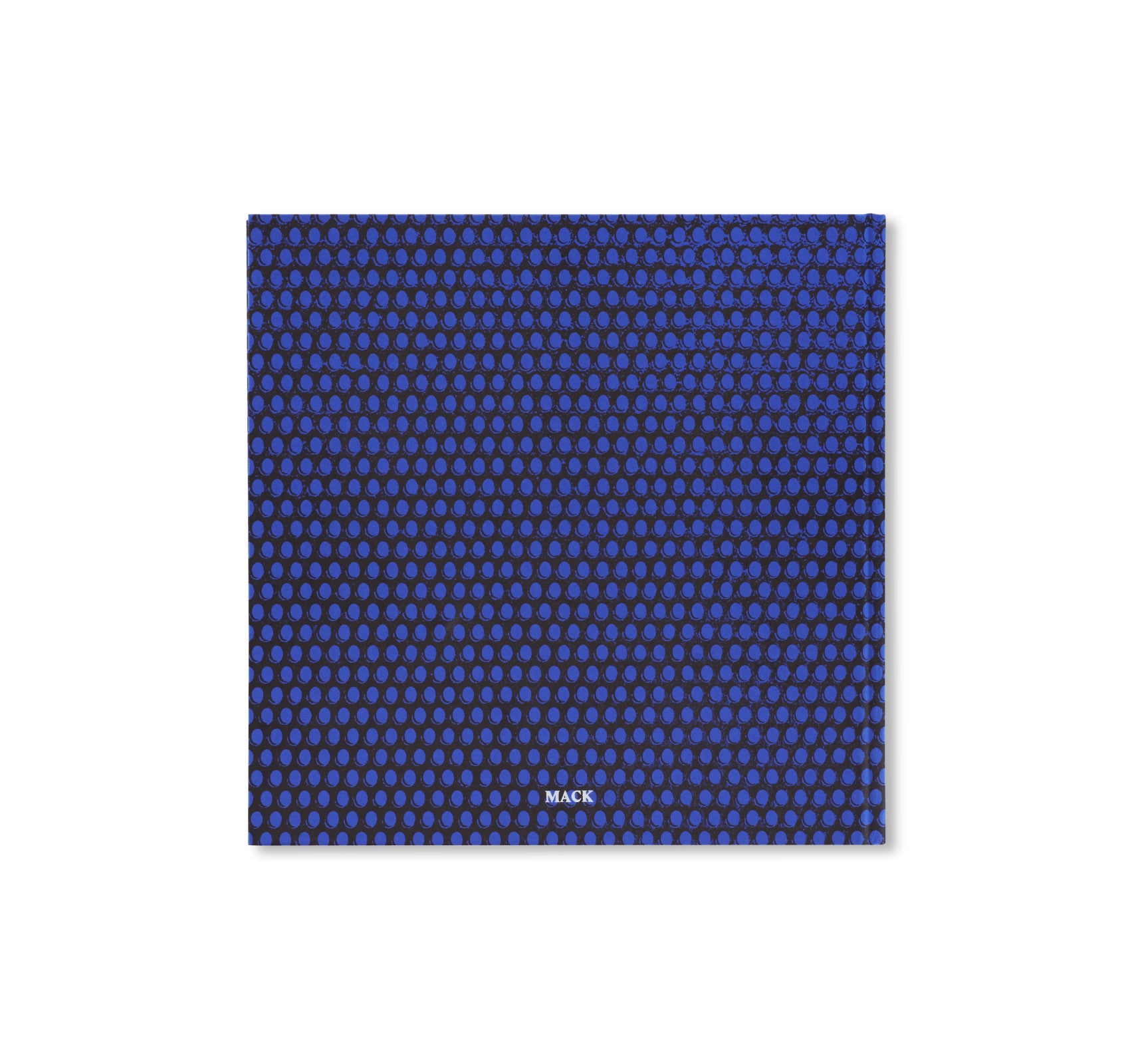 FOREVER by Anthony Hernandez