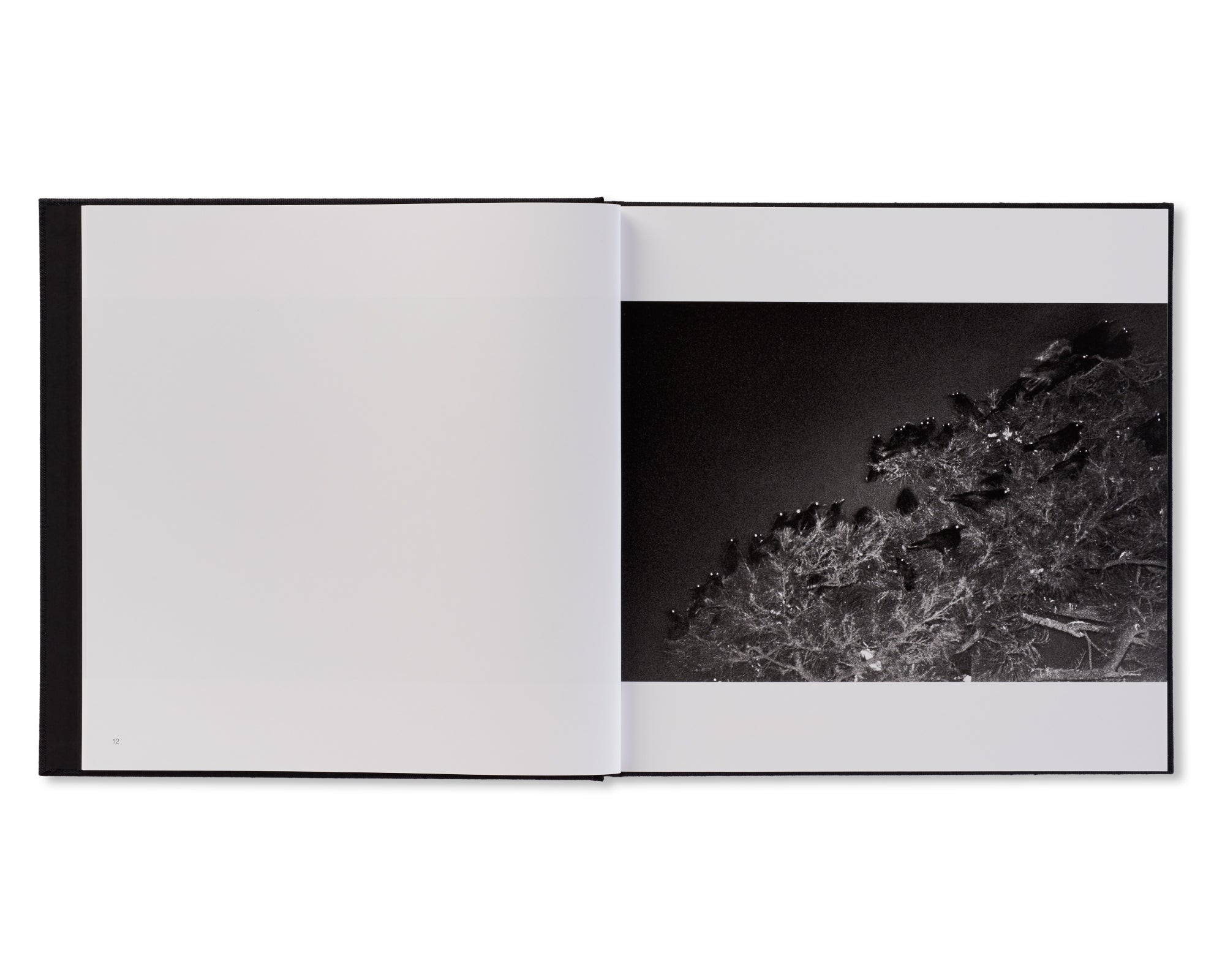 鴉 / RAVENS by Masahisa Fukase