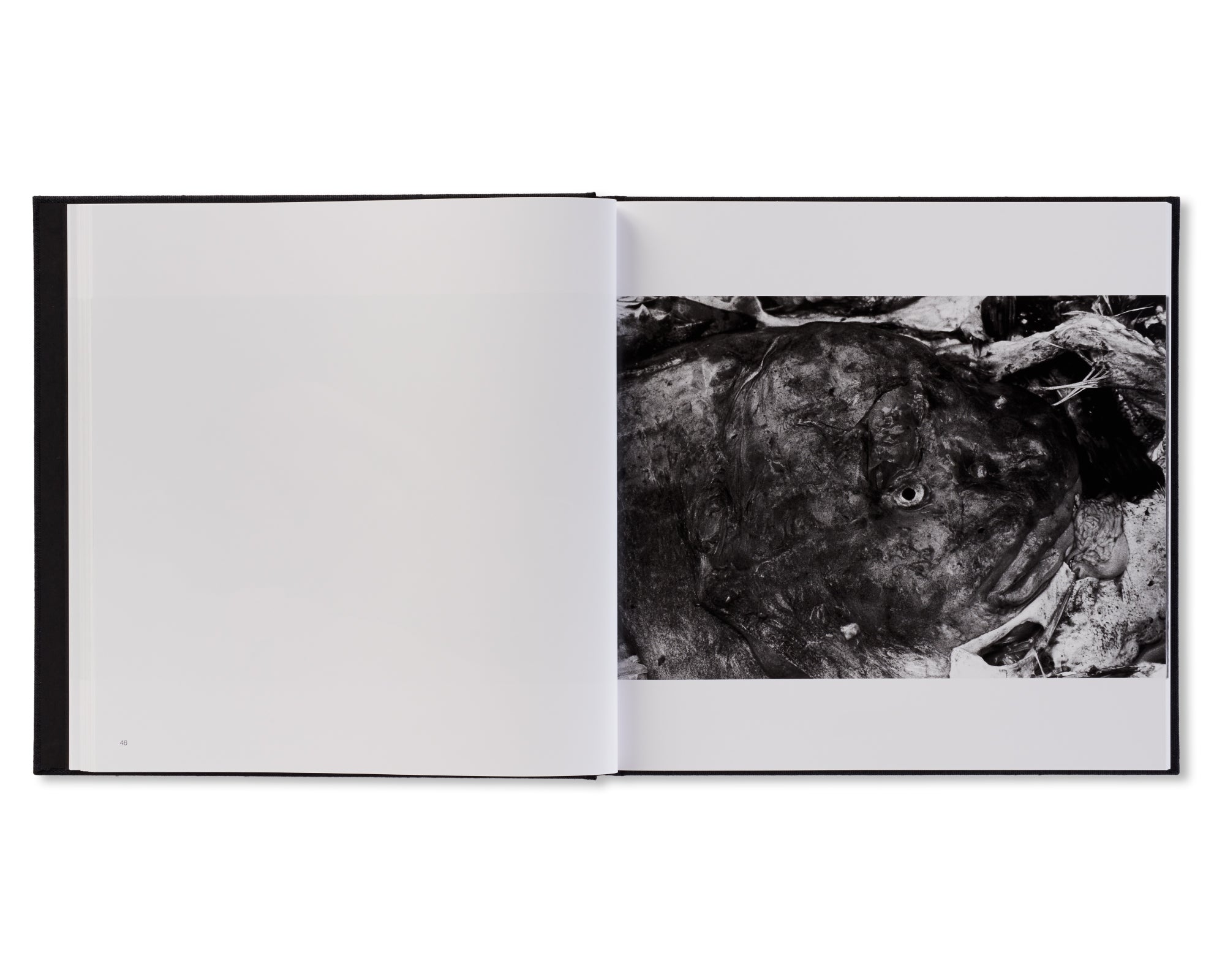 鴉 / RAVENS by Masahisa Fukase