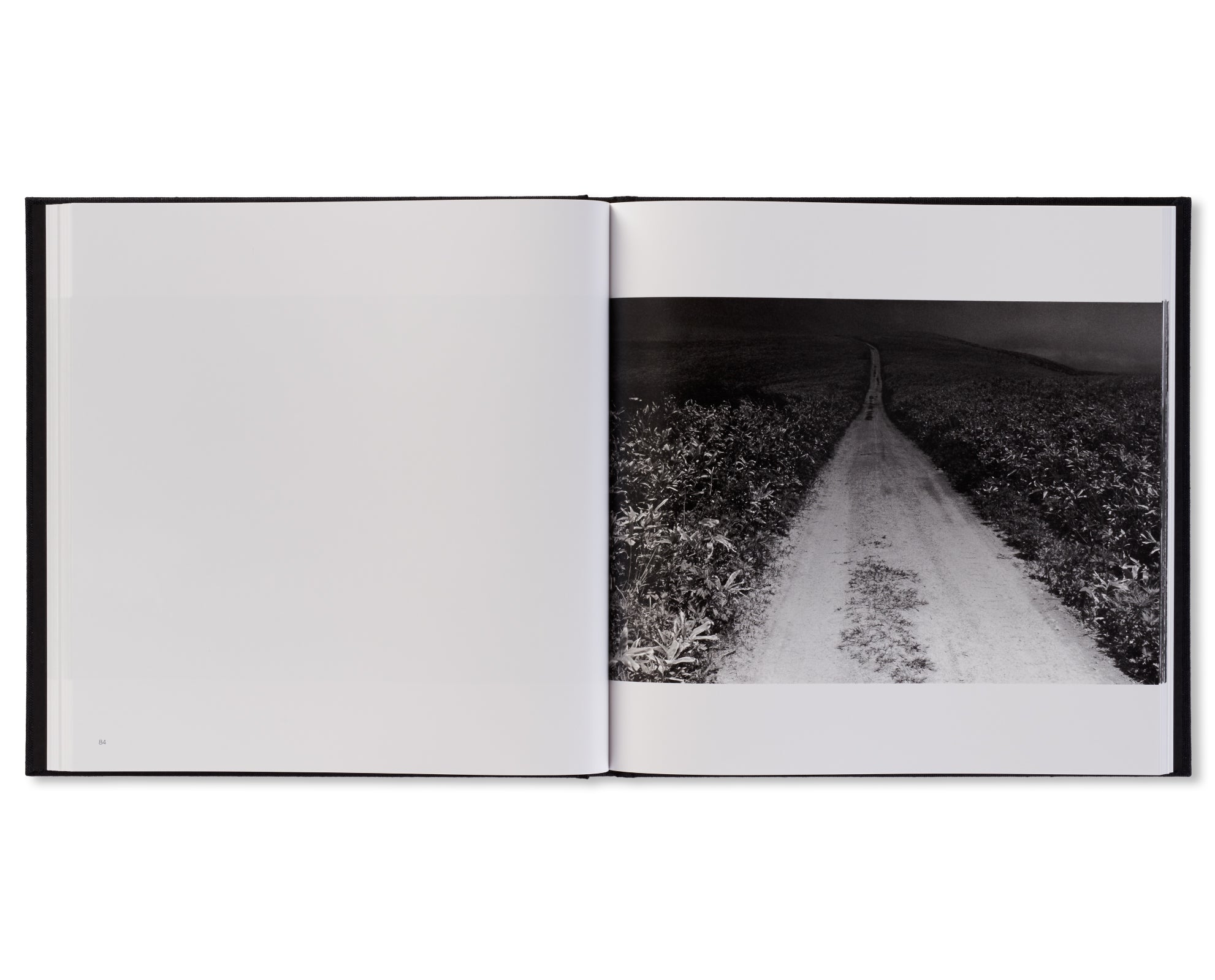 鴉 / RAVENS by Masahisa Fukase