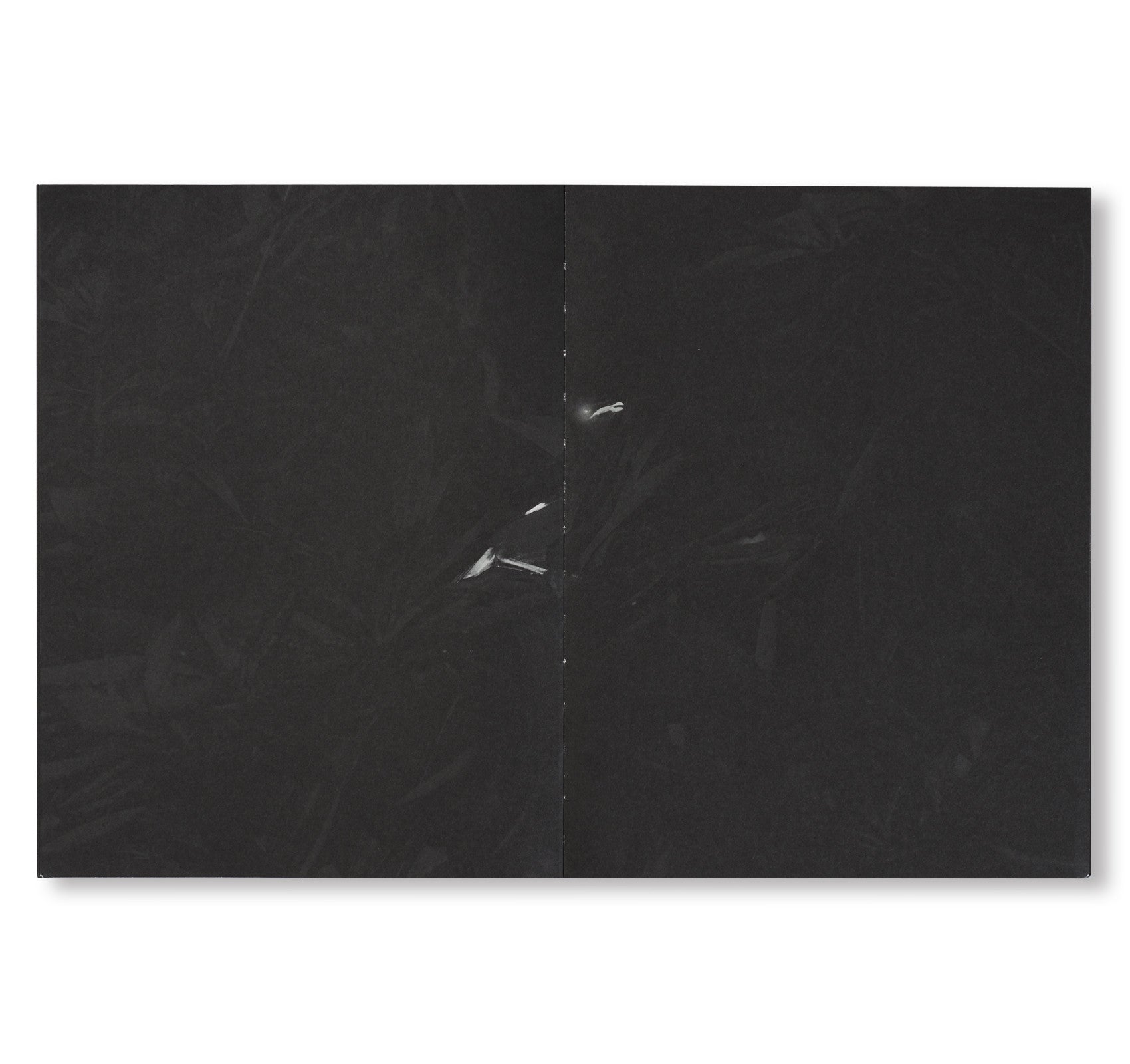 MYNAS by Robert Zhao Renhui