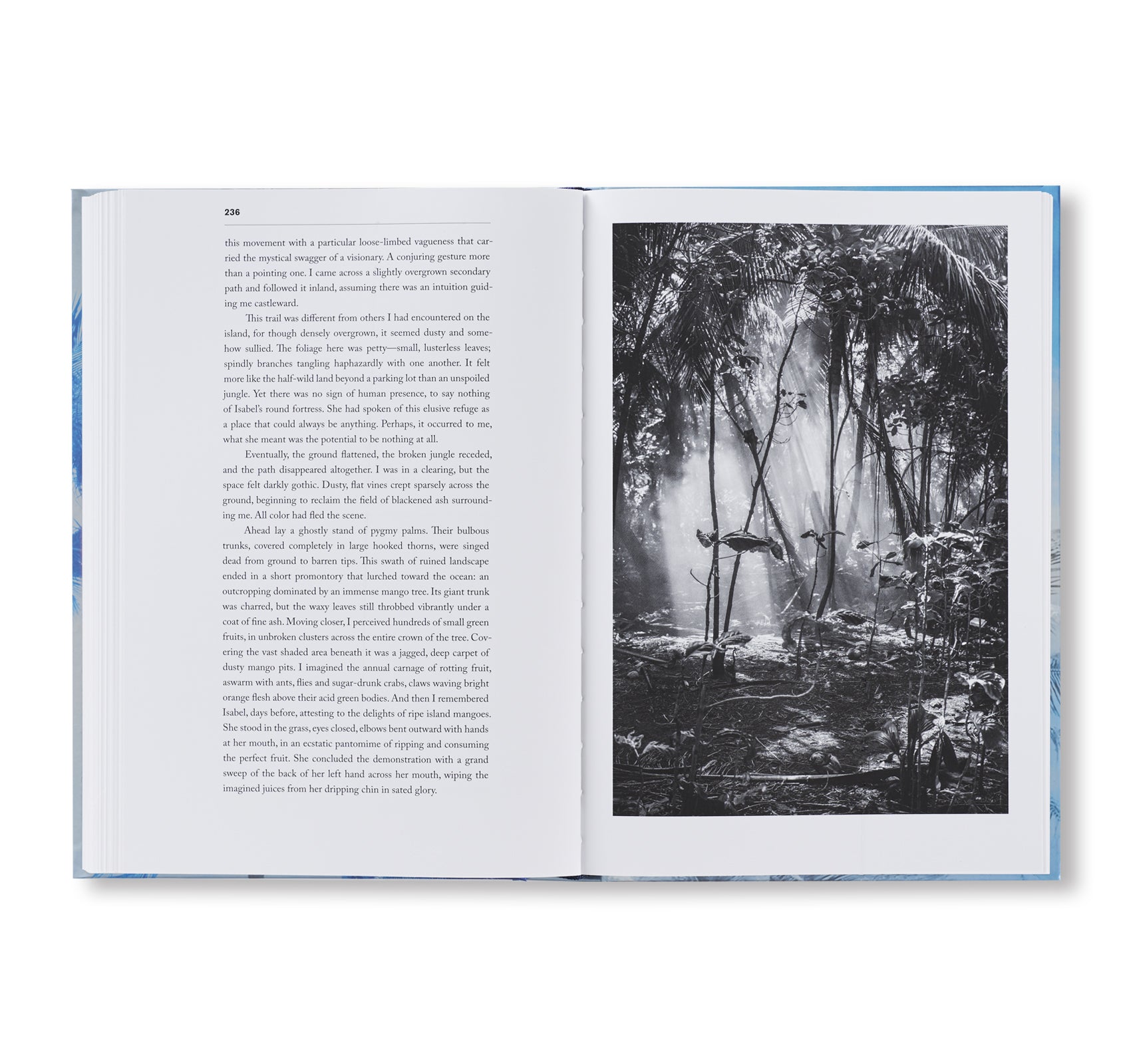 IN MOST TIDES AN ISLAND by Nicholas Muellner