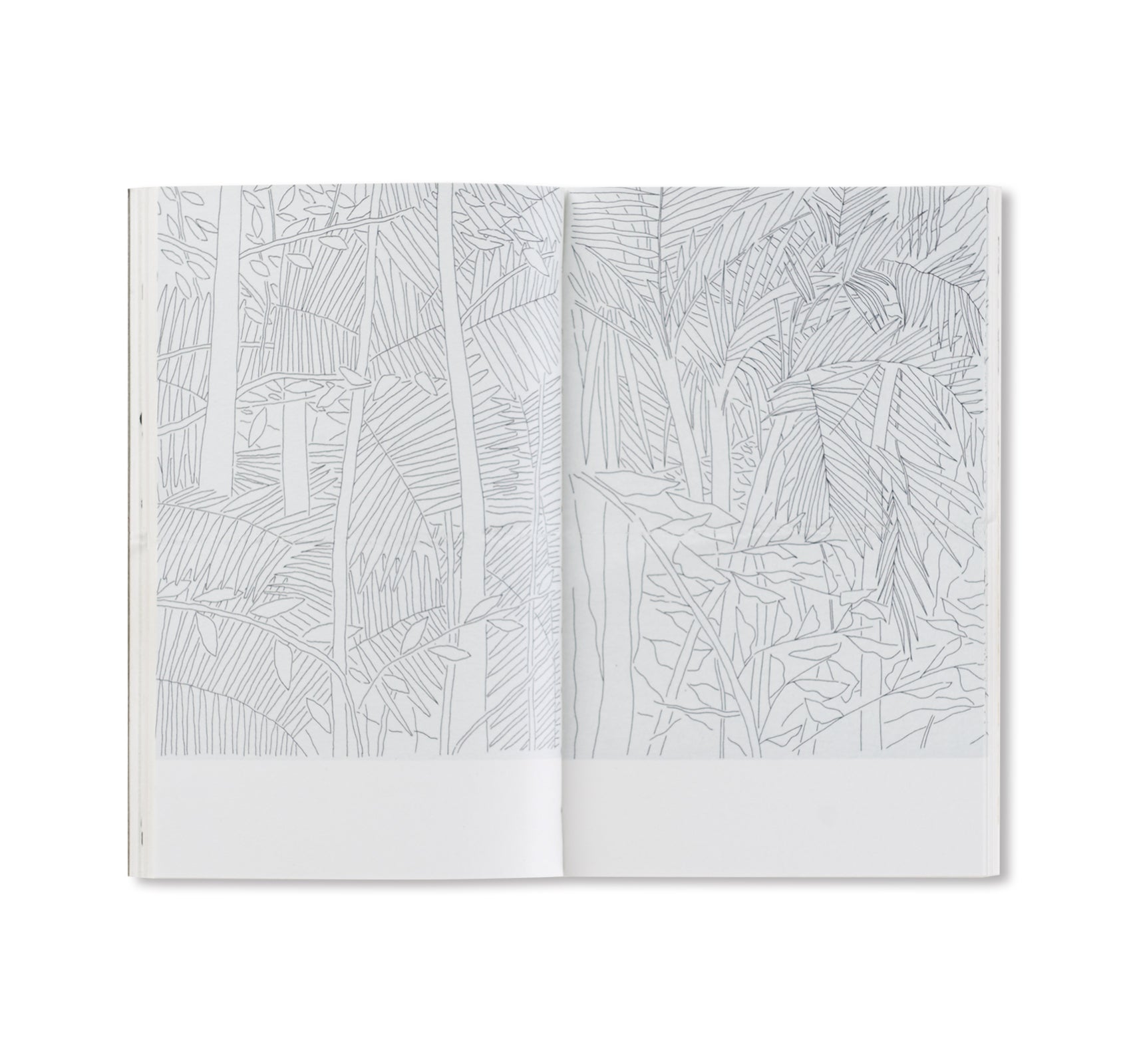 SIDES by Nigel Peake
