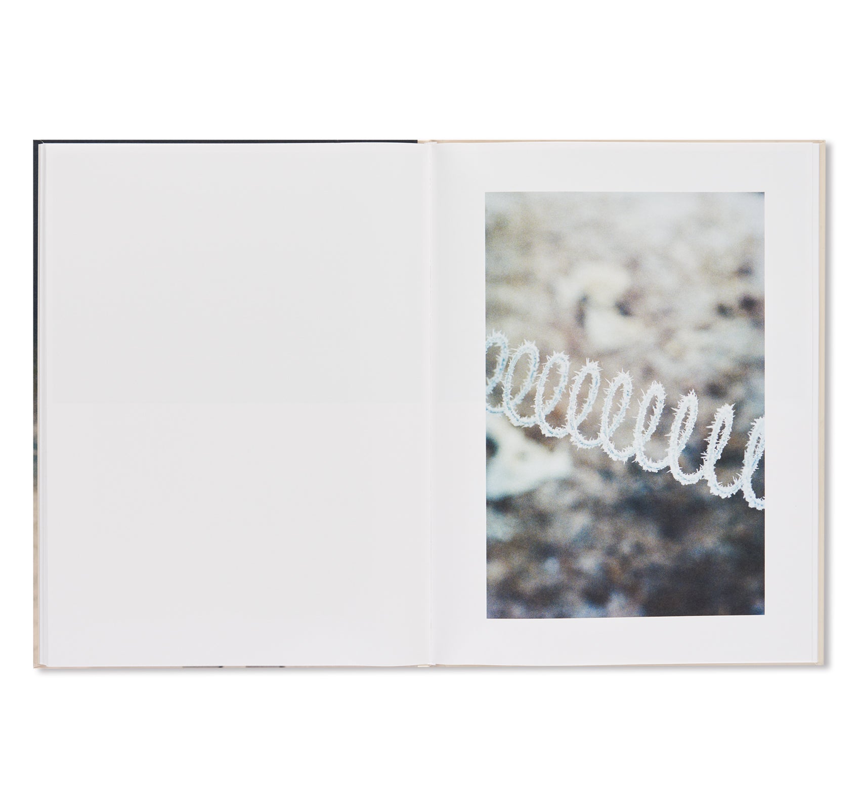 THUJORD by Ola Rindal