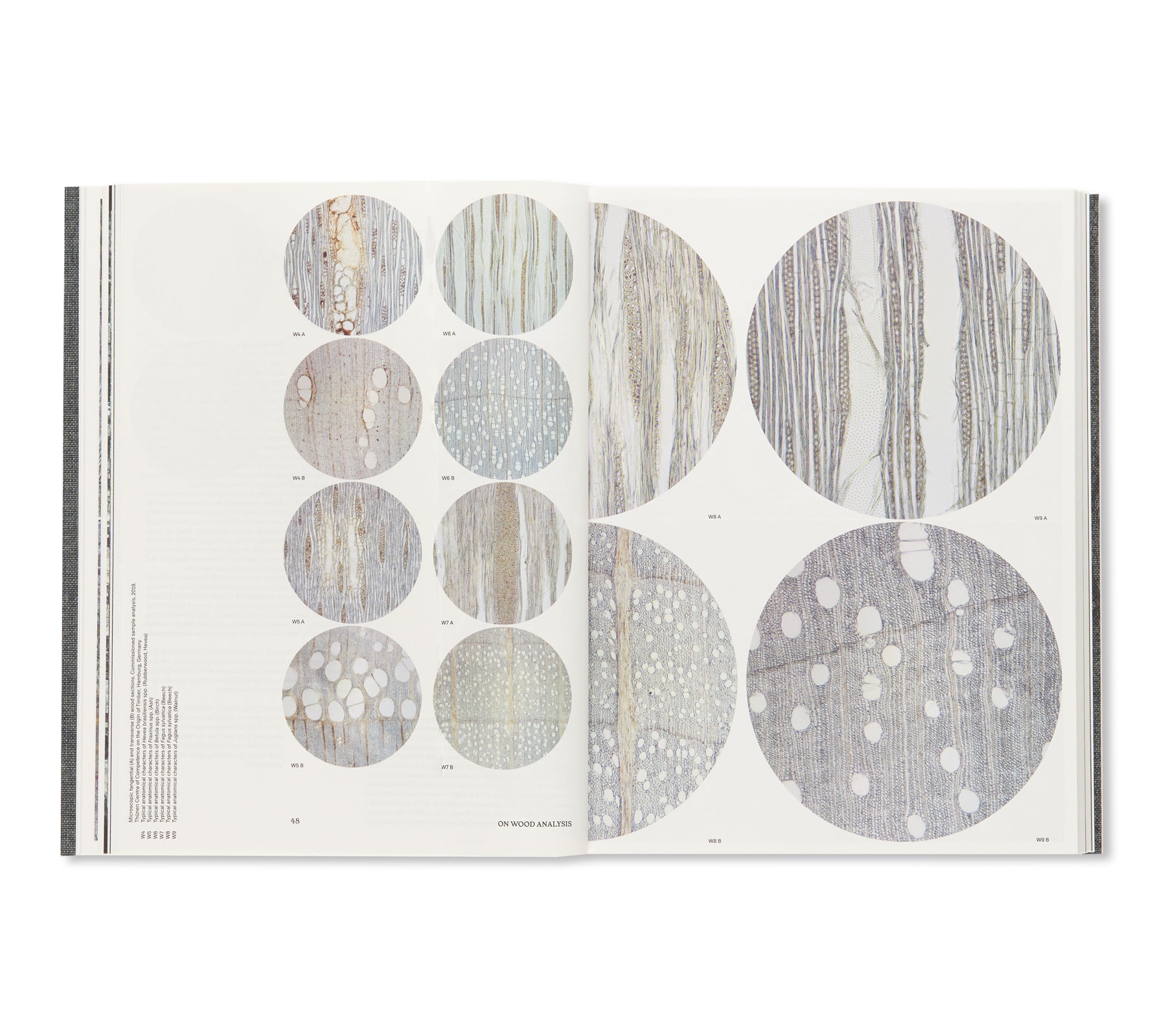 FORMAFANTASMA: CAMBIO by Formafantasma