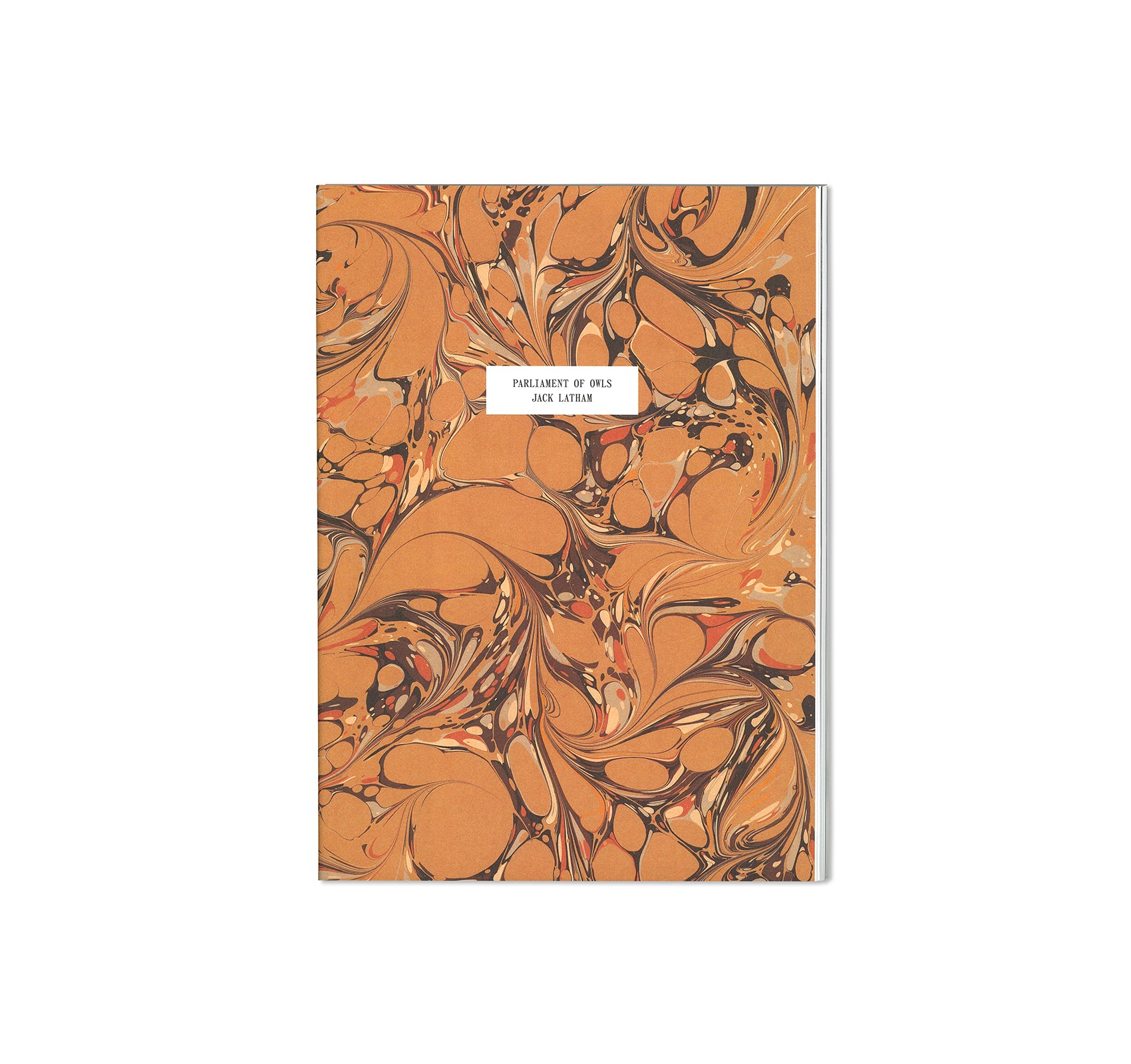 PARLIAMENT OF OWLS by Jack Latham