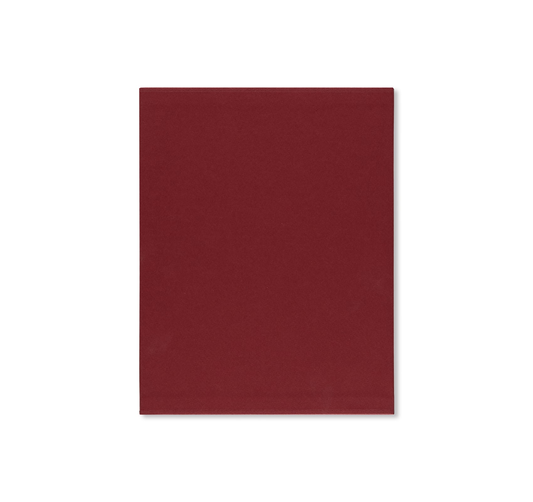 LUC TUYMANS: CATALOGUE RAISONNÉ OF PAINTINGS VOLUME 2, 1995–2006 by Luc Tuymans