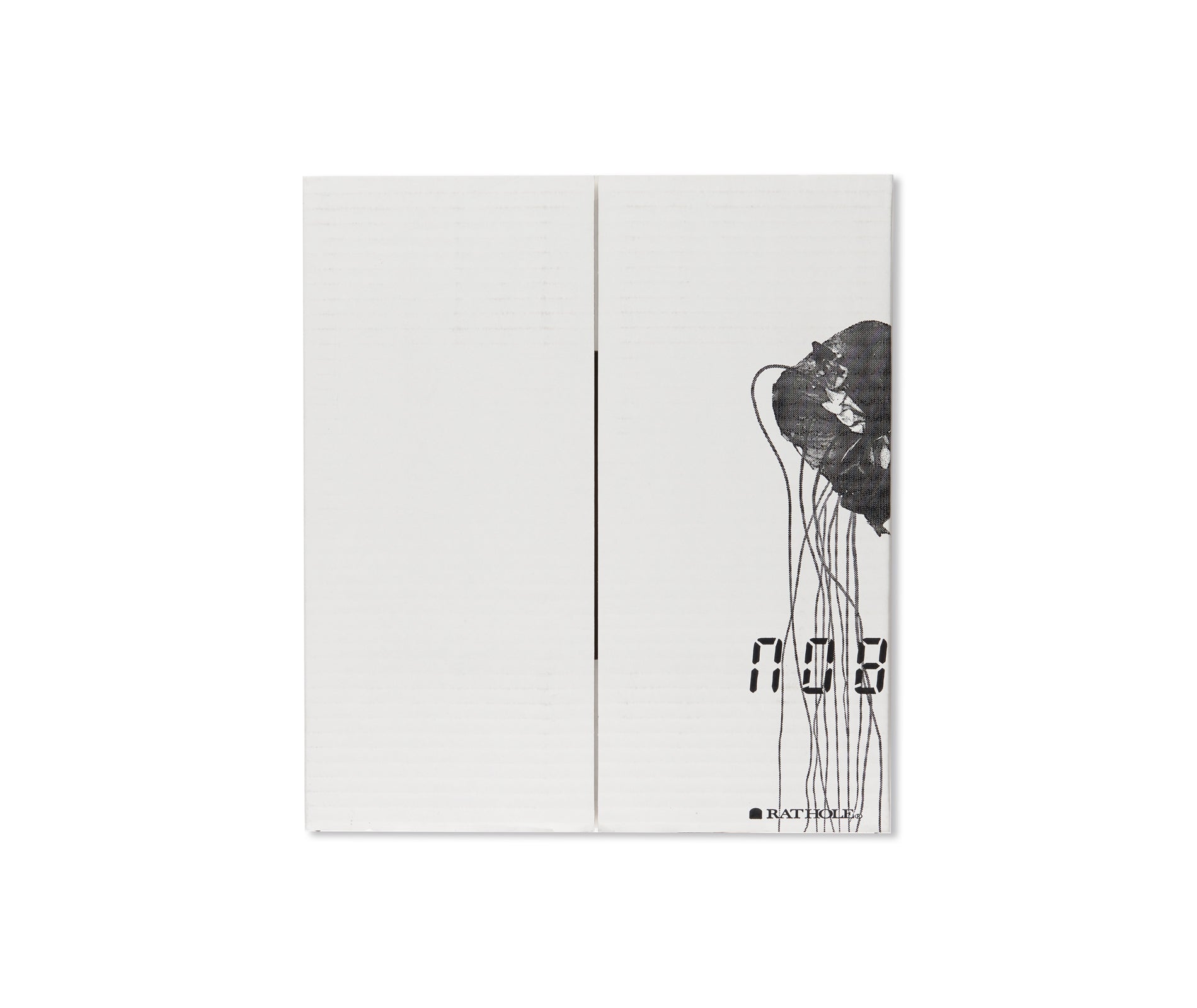 愛ノ花  / AI NO HANA by Nobuyoshi Araki