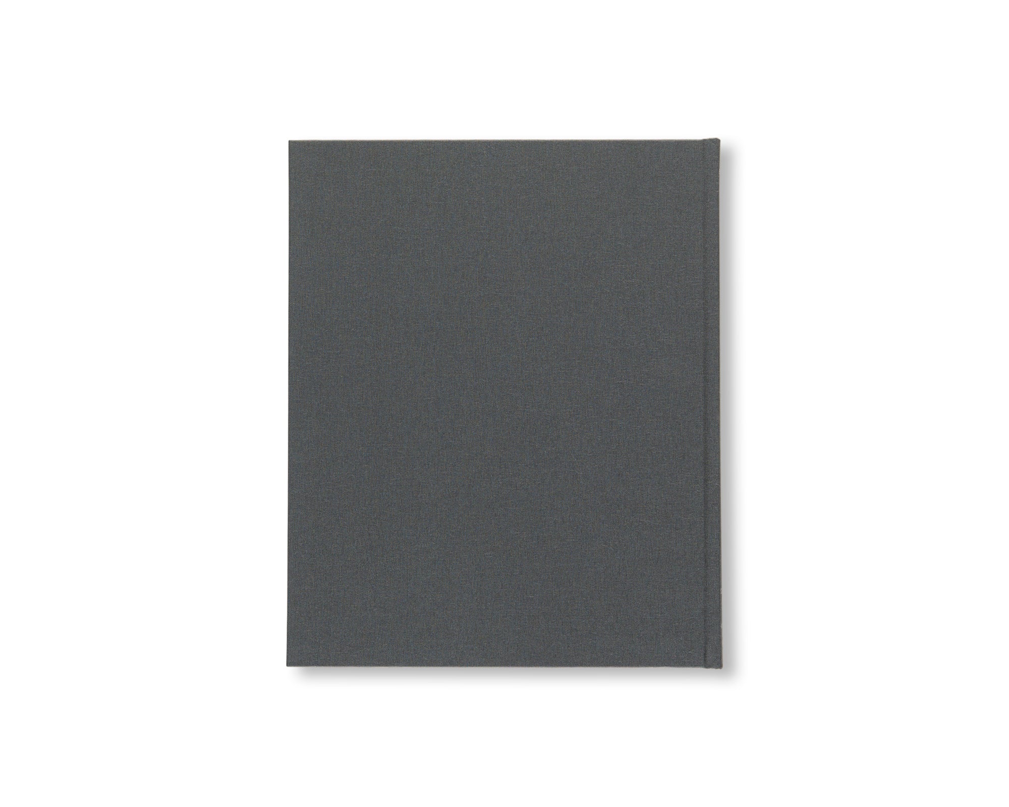 JASPER JOHNS: CATALOGUE RAISONNÉ OF PAINTING AND SCULPTURE by Roberta Bernstein