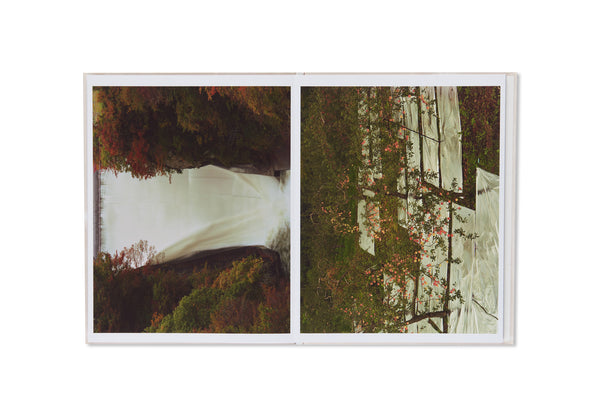 PAINTING by Toshio Shibata – twelvebooks