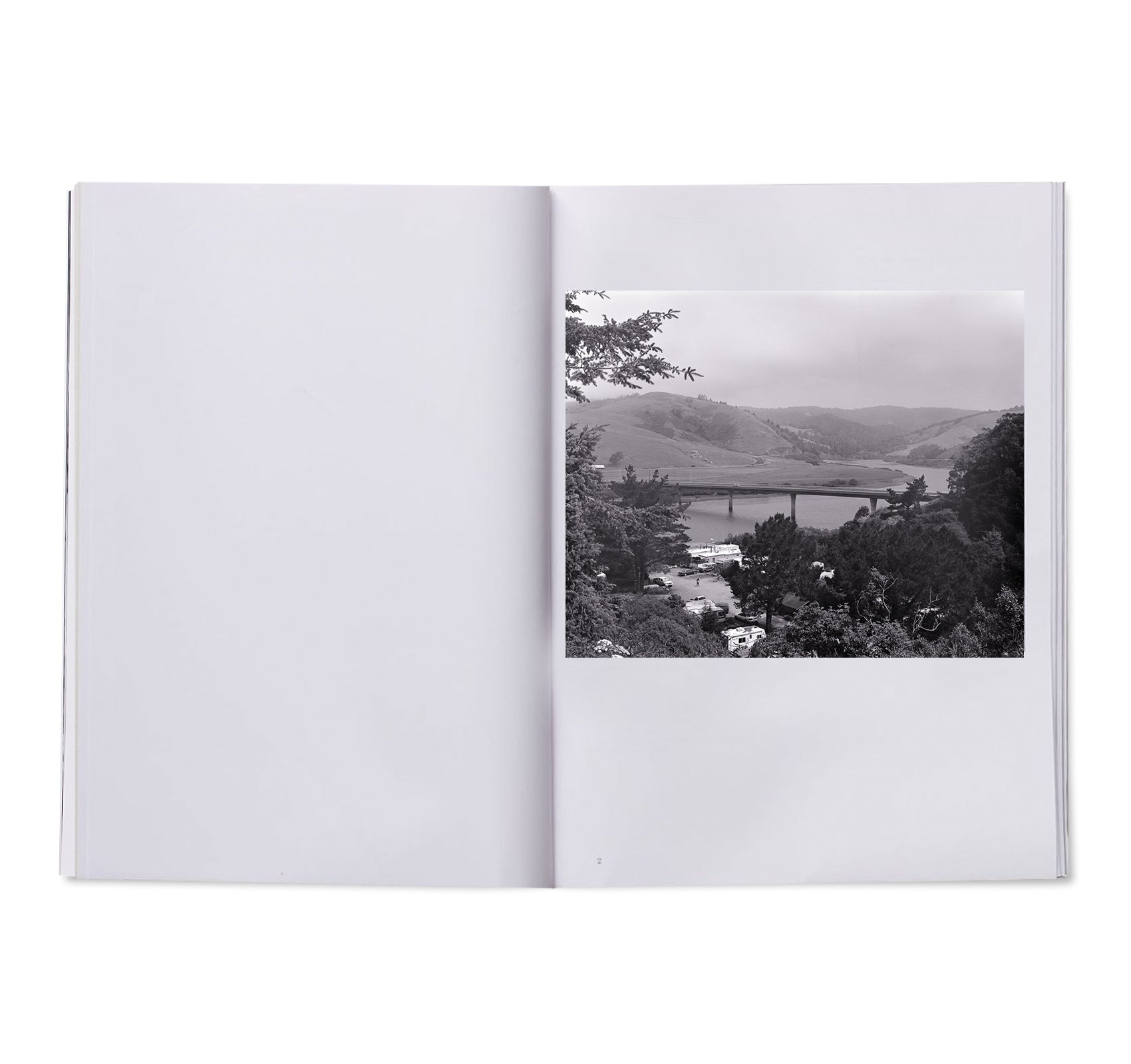 PARLIAMENT OF OWLS by Jack Latham