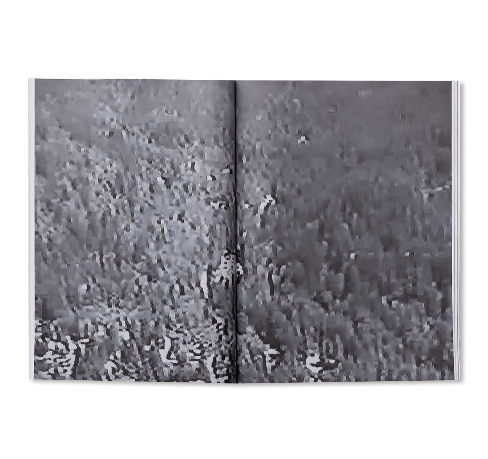 PARLIAMENT OF OWLS by Jack Latham