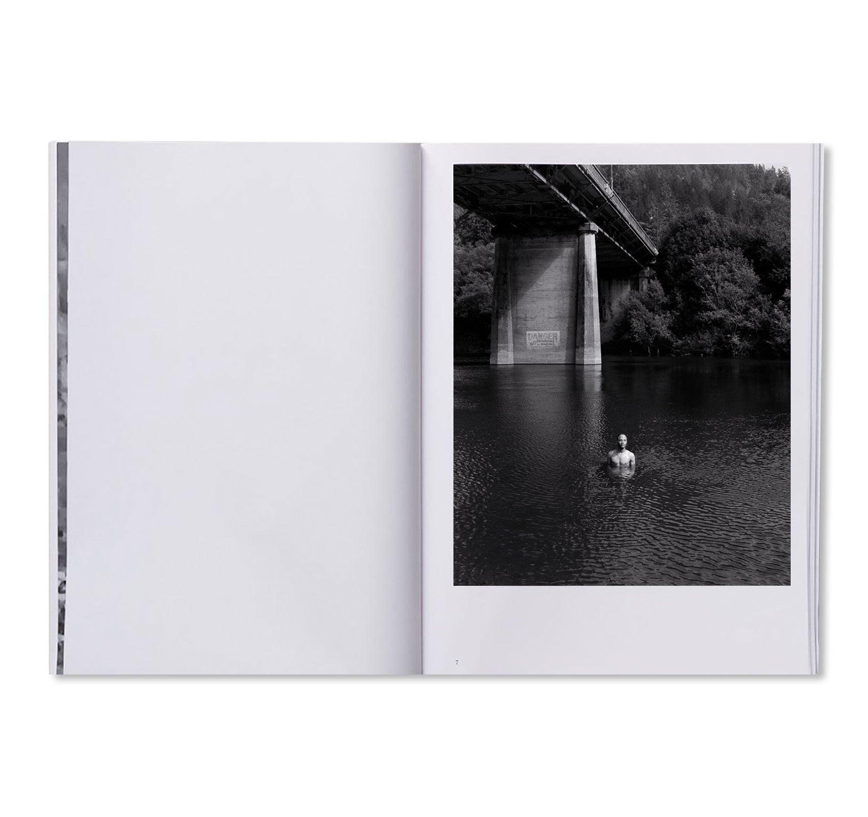 PARLIAMENT OF OWLS by Jack Latham