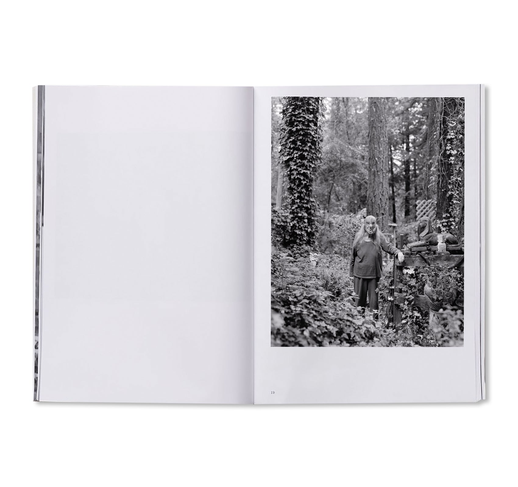 PARLIAMENT OF OWLS by Jack Latham