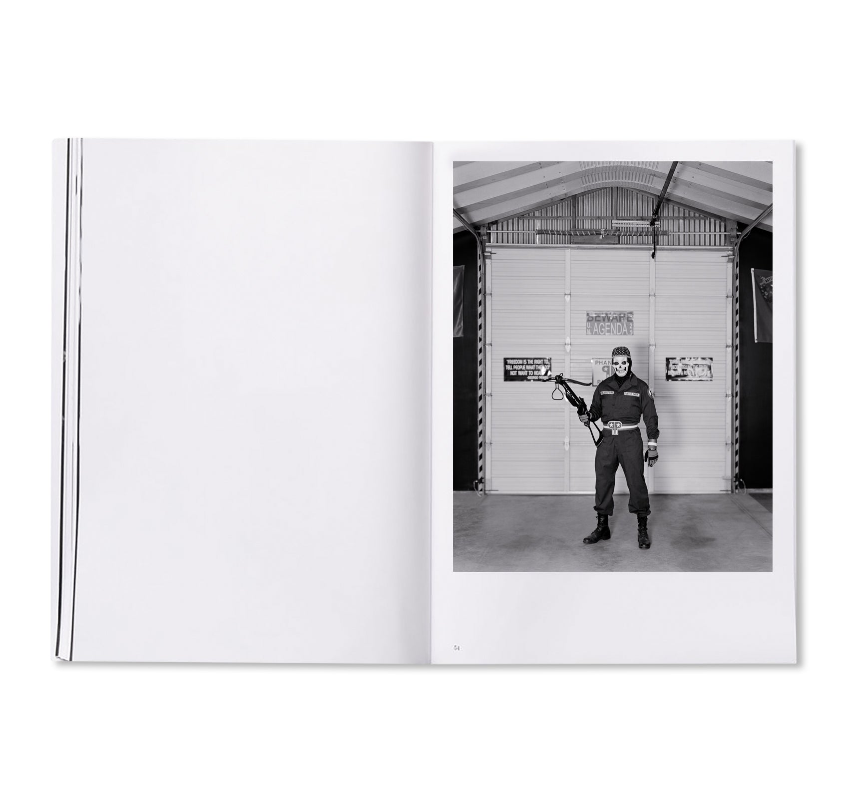 PARLIAMENT OF OWLS by Jack Latham