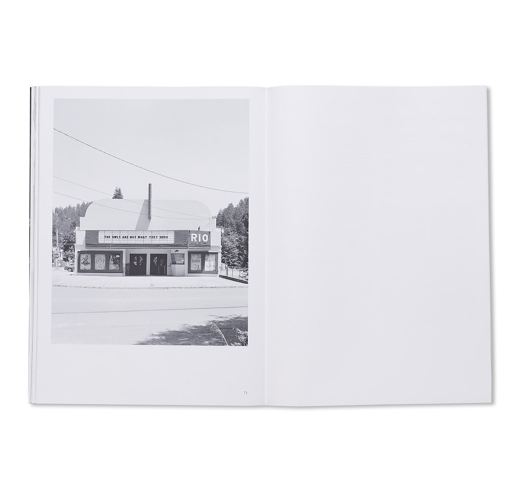 PARLIAMENT OF OWLS by Jack Latham