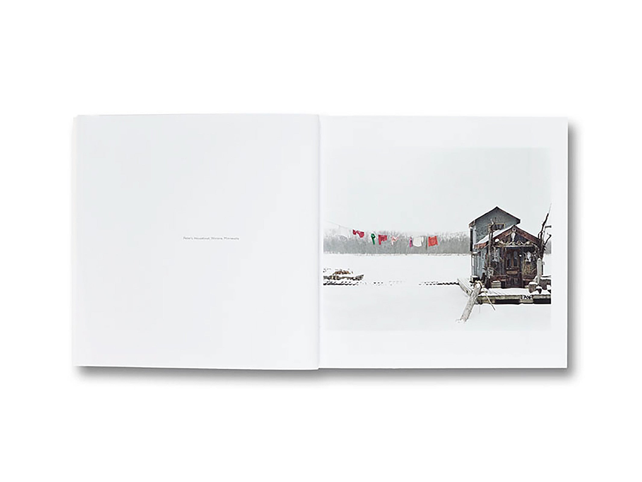GATHERED LEAVES by Alec Soth