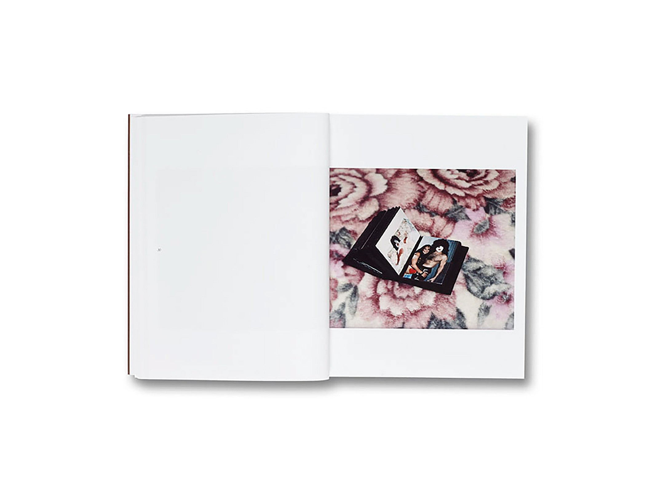 GATHERED LEAVES by Alec Soth