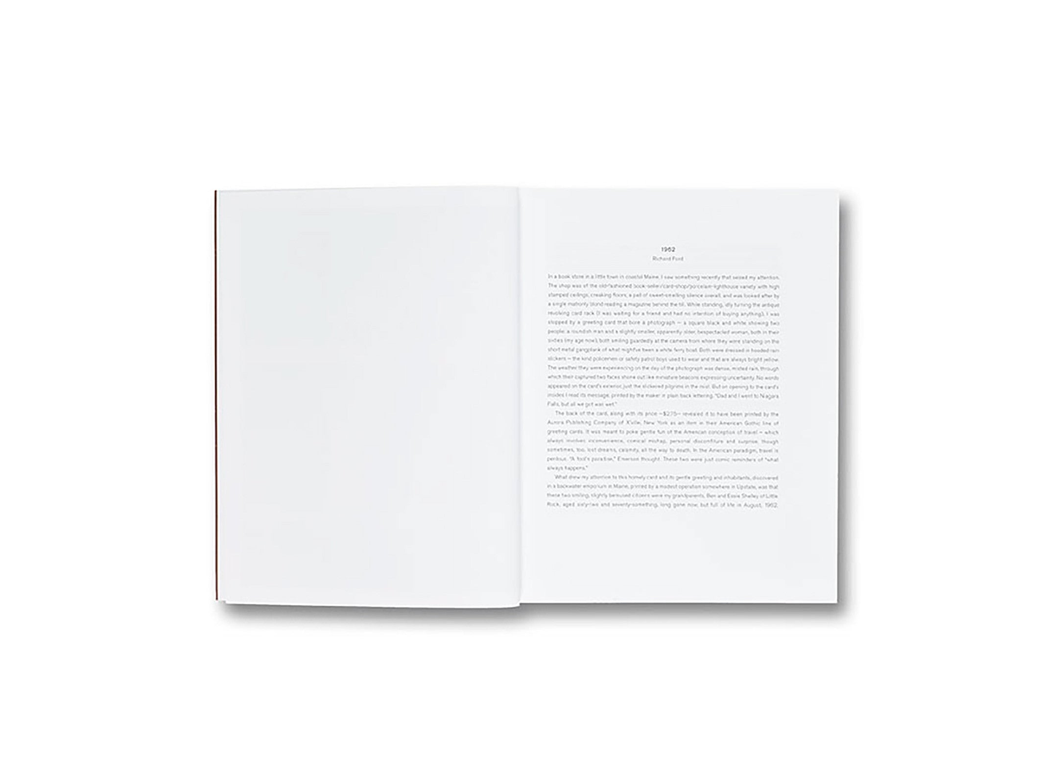 GATHERED LEAVES by Alec Soth