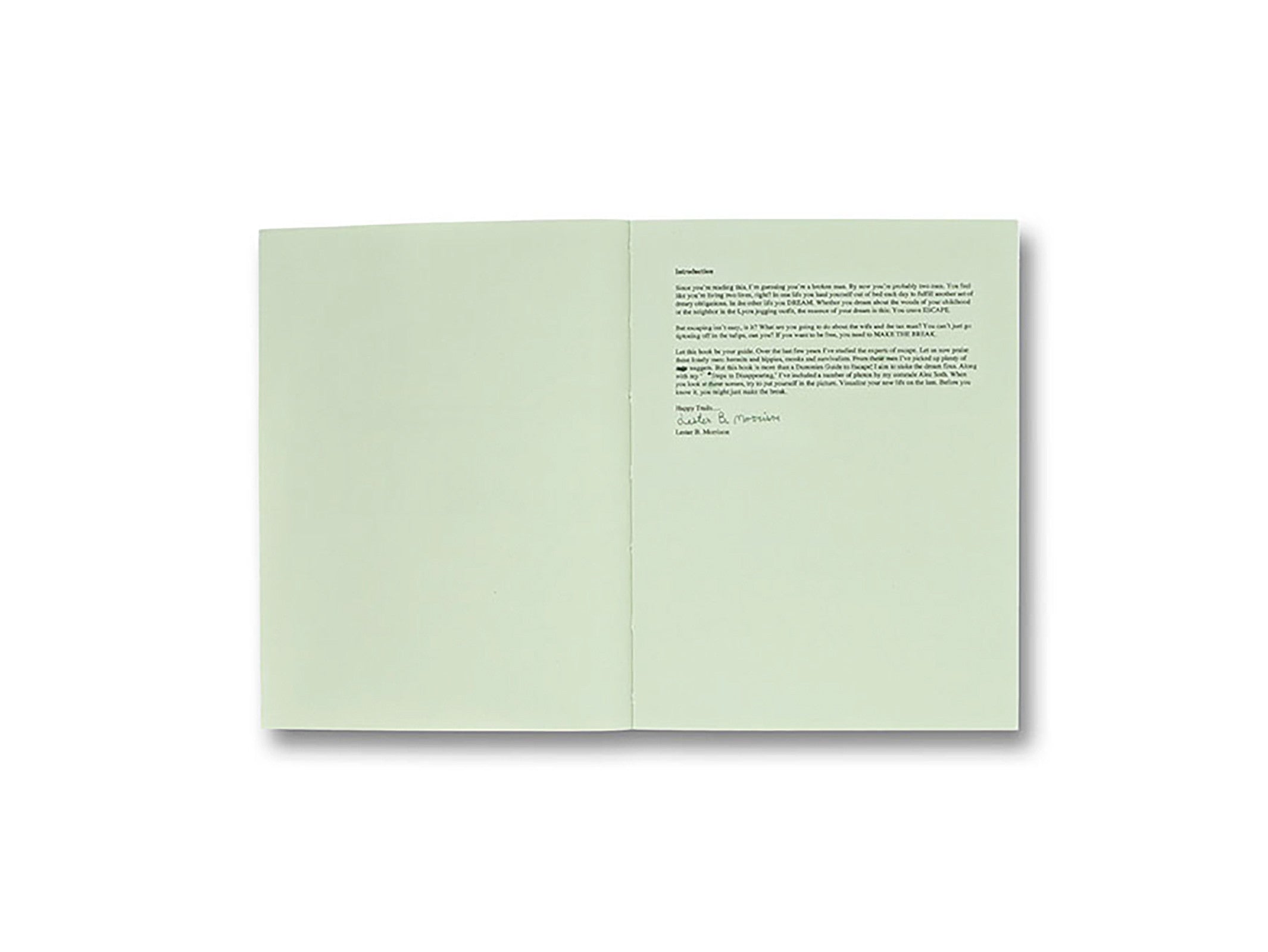GATHERED LEAVES by Alec Soth