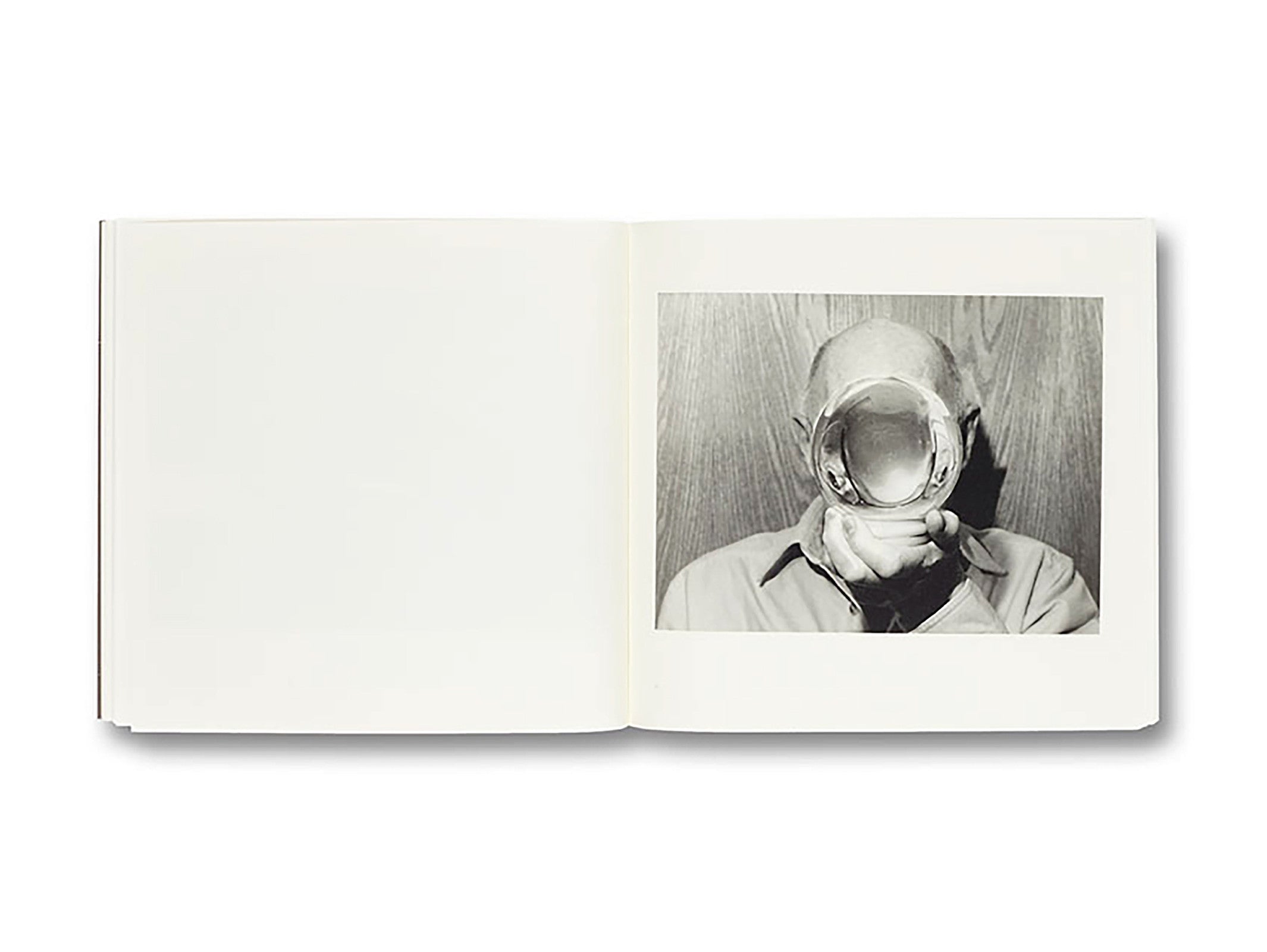 GATHERED LEAVES by Alec Soth