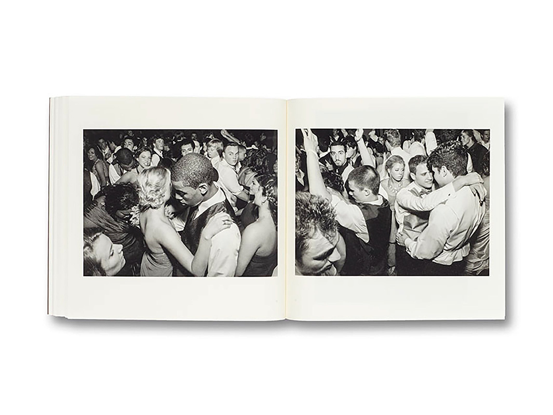 GATHERED LEAVES by Alec Soth