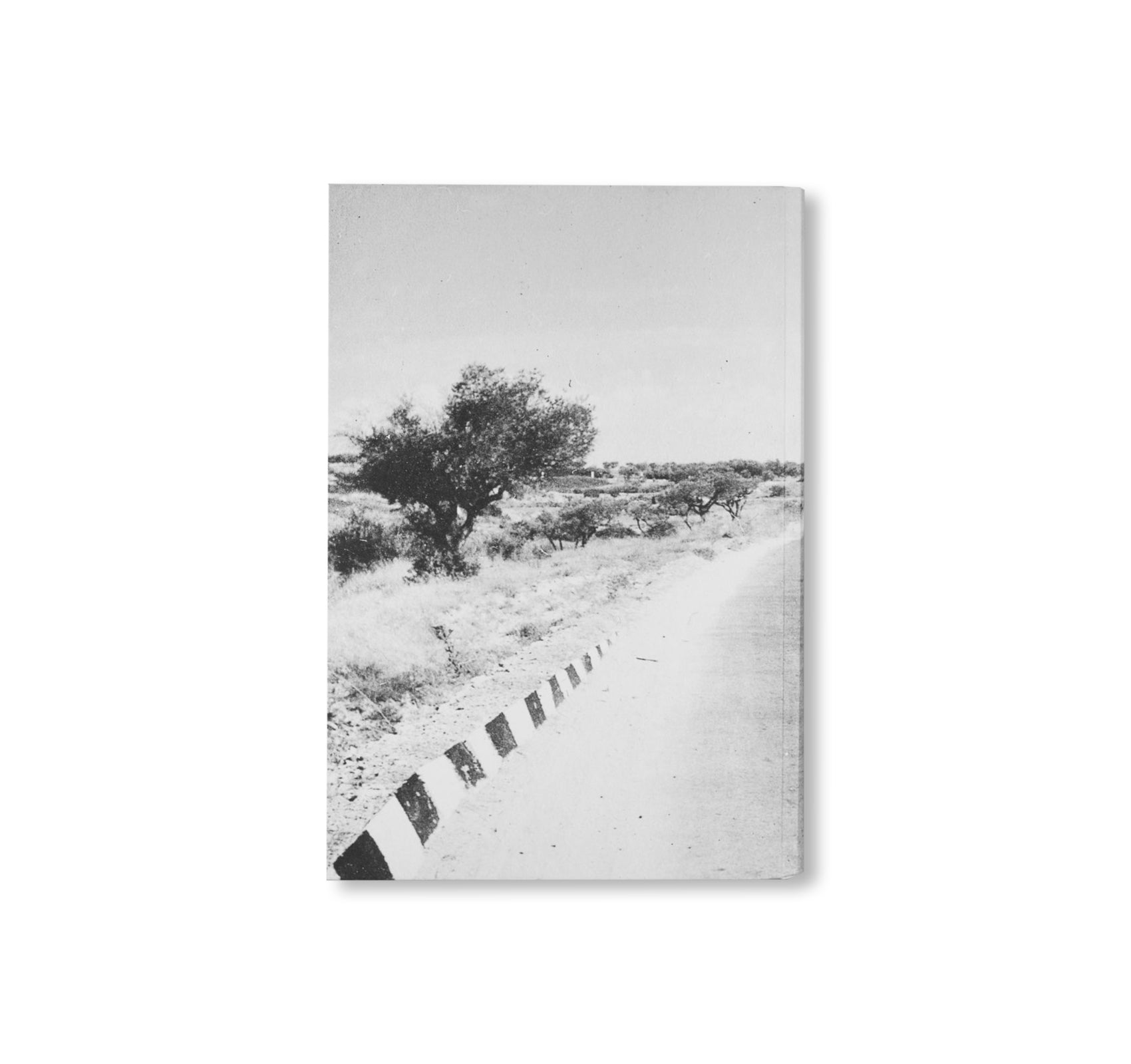 DIE VERWANDTE. AUS DEM FOTOGRAFISCHEN NACHLASS DER ANNE-MARIE VON WOLFF by Mimi von Moos