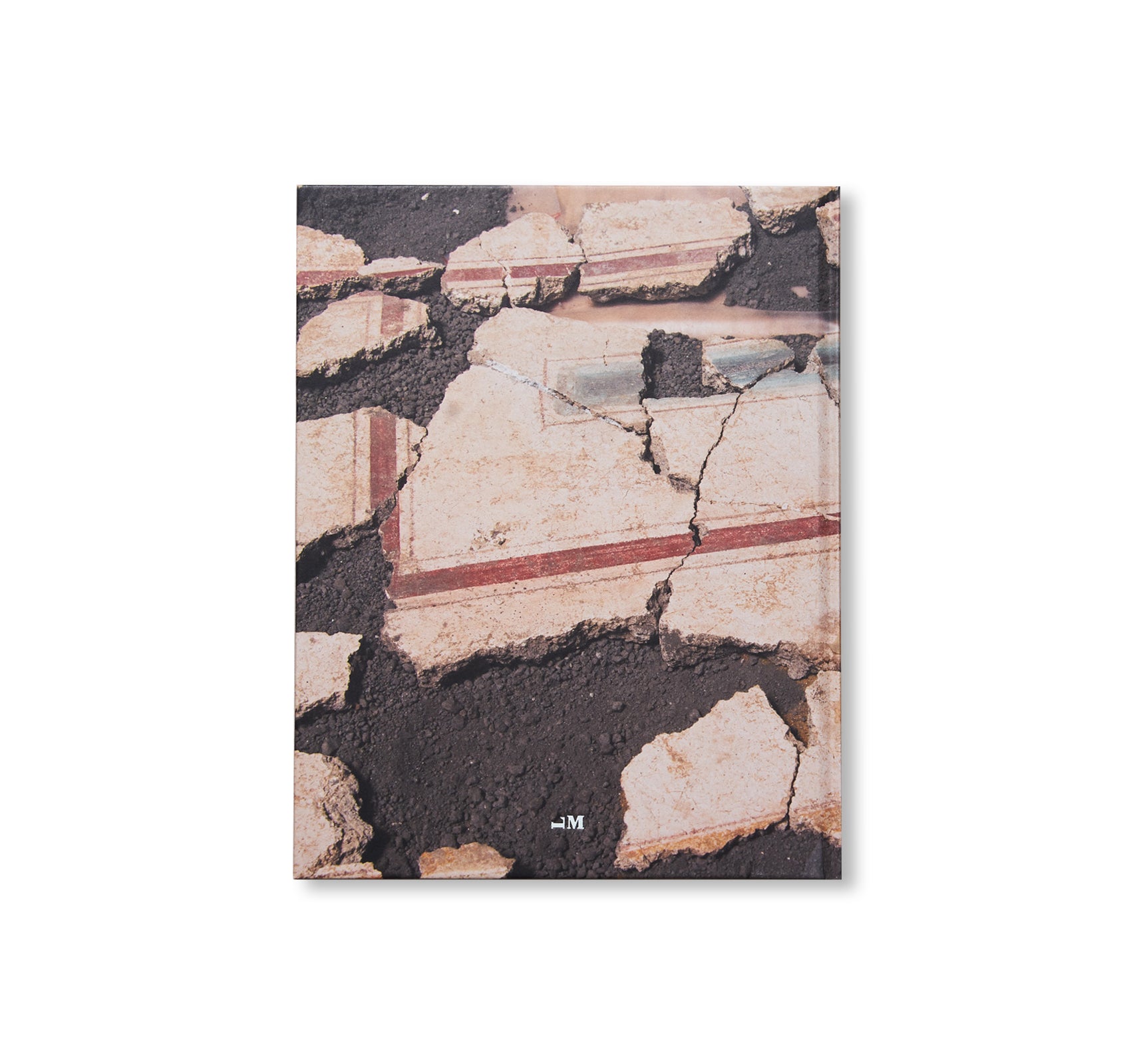 NEW MONUMENTS by Shane Lavalette