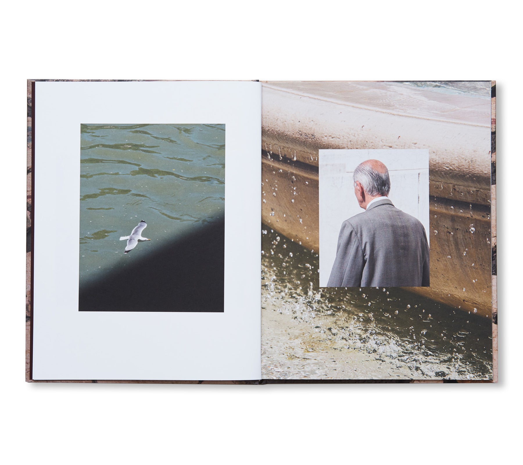 NEW MONUMENTS by Shane Lavalette