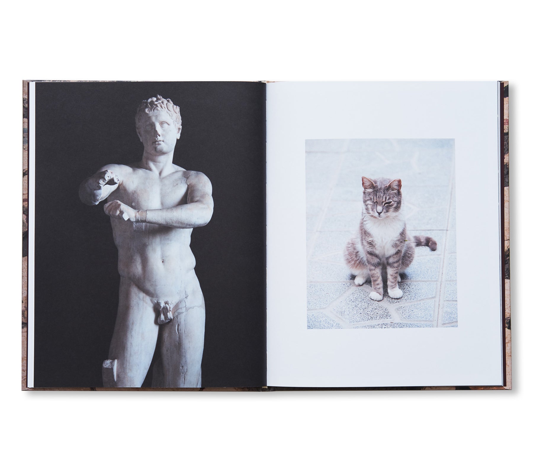 NEW MONUMENTS by Shane Lavalette