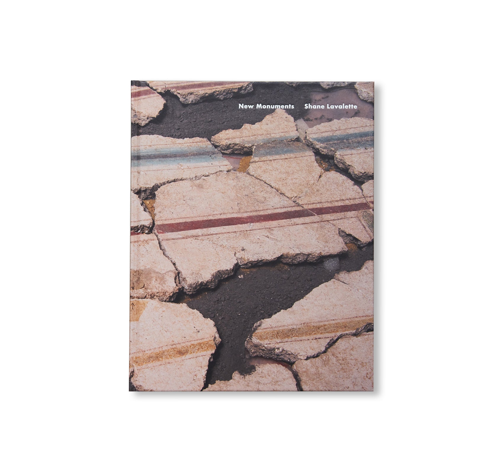 NEW MONUMENTS by Shane Lavalette