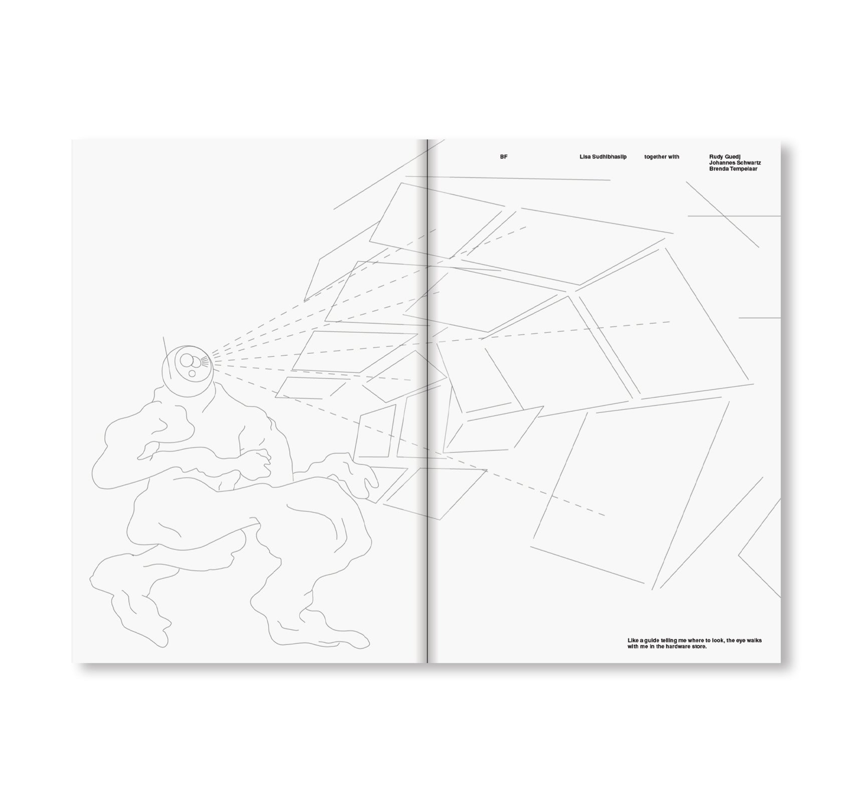 NO THANKS, I'M JUST LOOKING by Lisa Sudhibhasilp