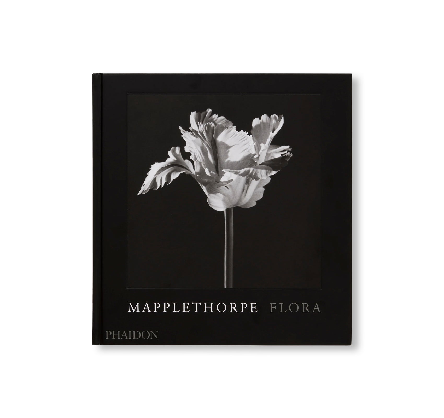 MAPPLETHORPE FLORA: THE COMPLETE FLOWERS by Robert Mapplethorpe [NEW EDITION]