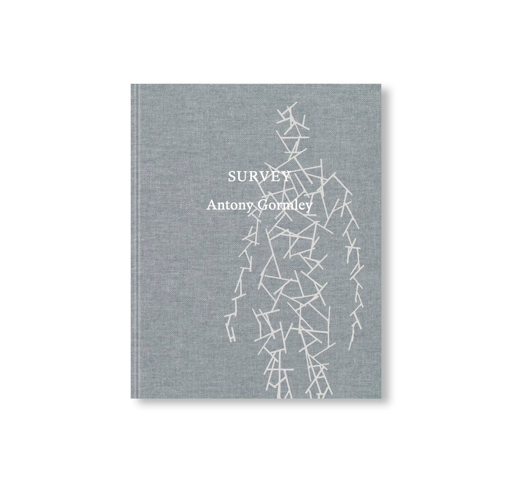 SURVEY by Antony Gormley