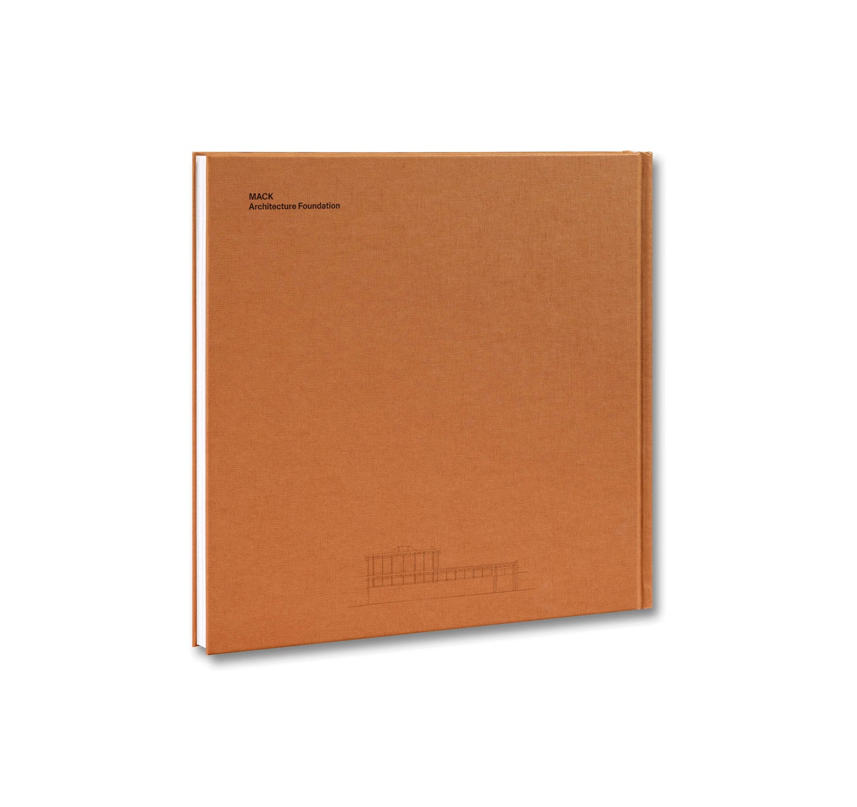 AT HOME IN LONDON: THE MEWS HOUSE by Ellis Woodman