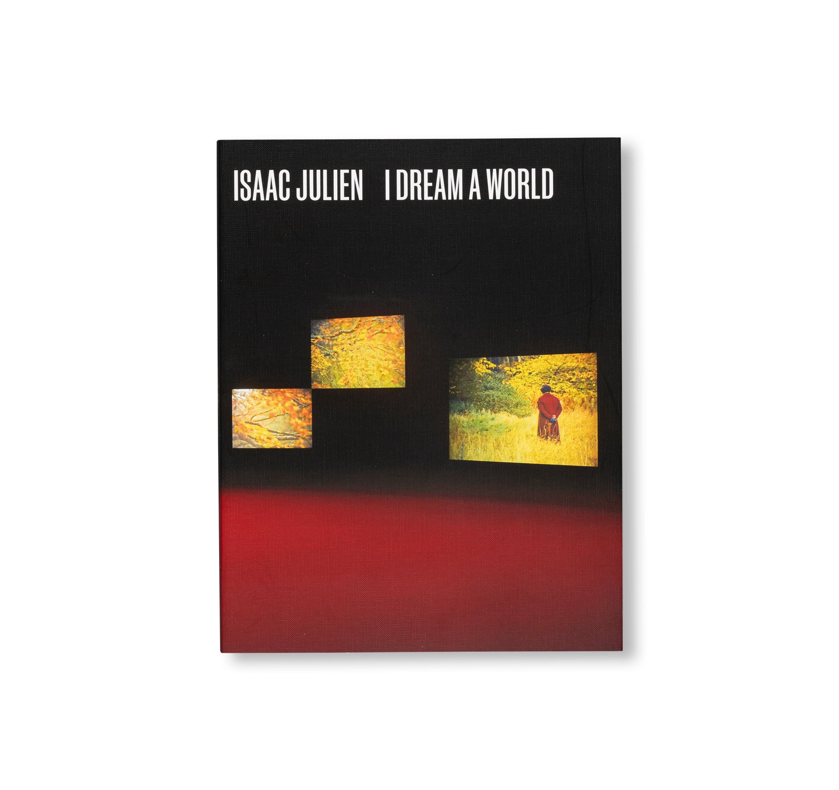 I DREAM A WORLD by Isaac Julien