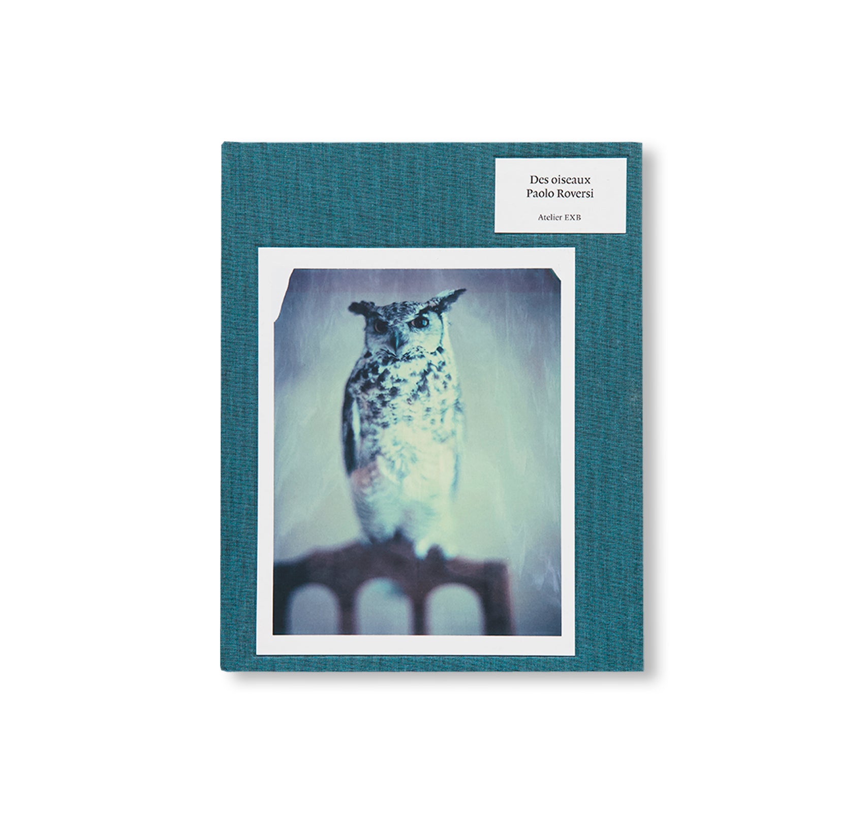 DES OISEAUX - PAOLO ROVERSI by Paolo Roversi